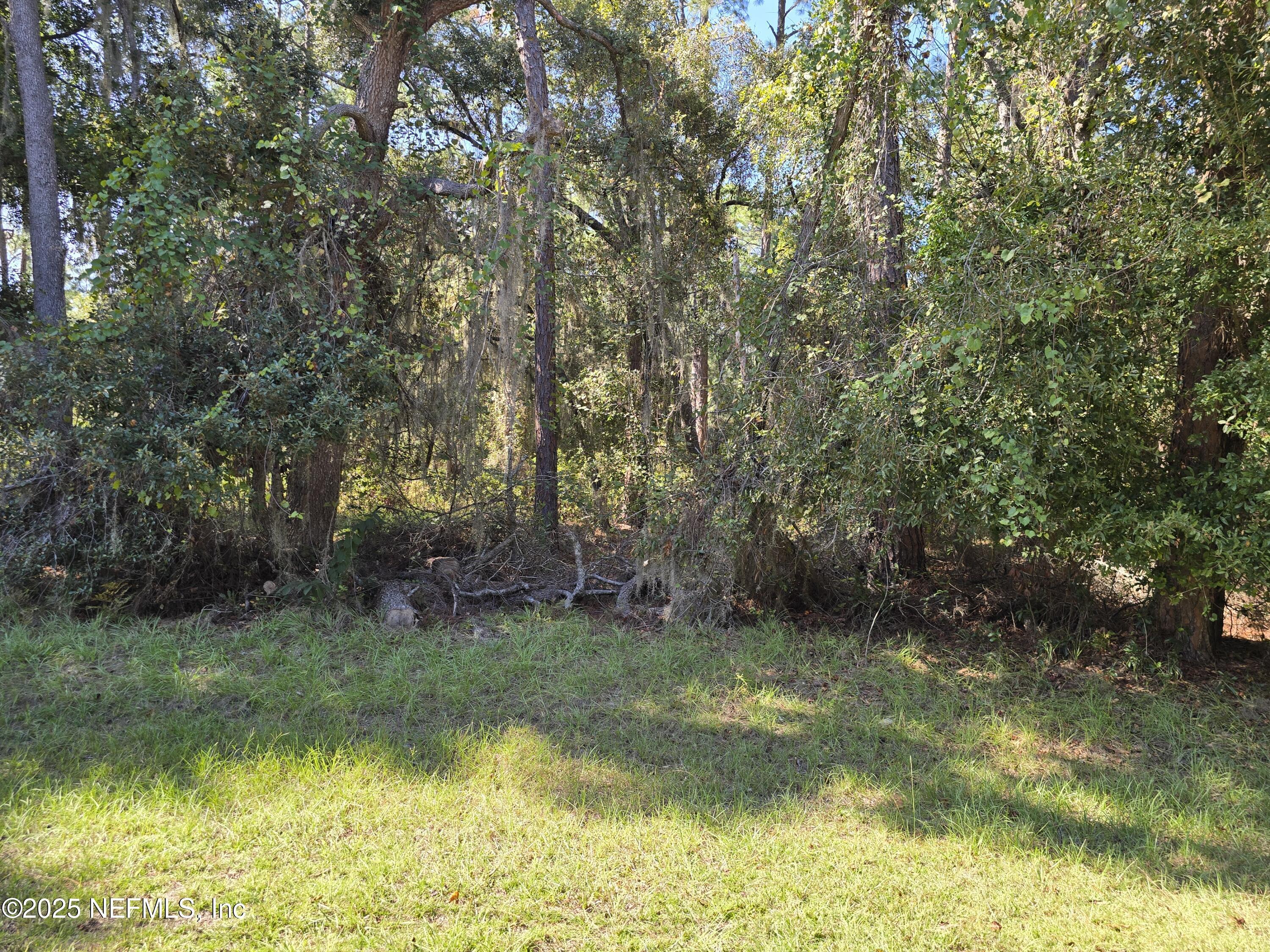 Image 4: 20251023_141233