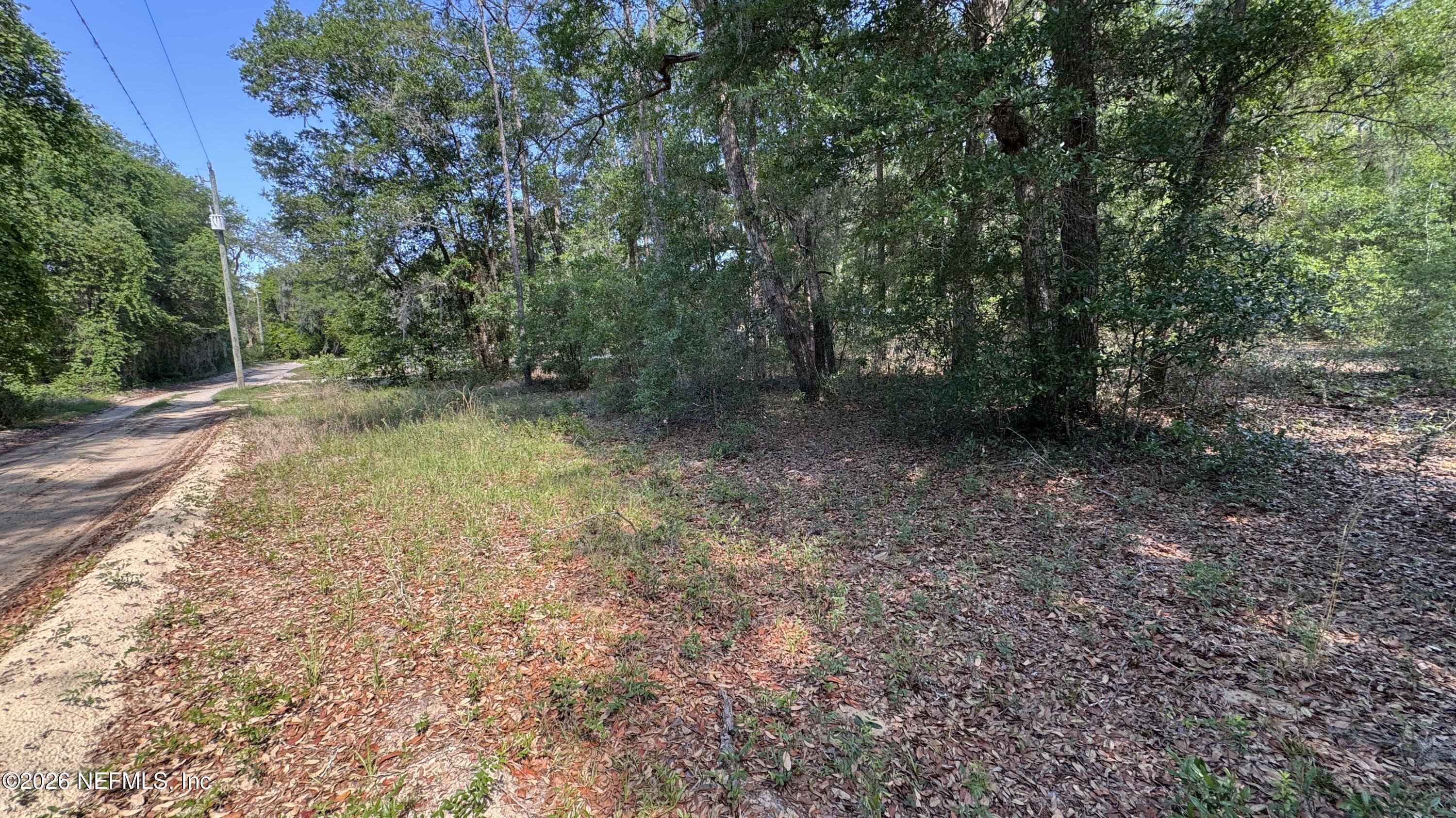 Image 3: 00 Lake Shore Dr, Interlachen, FL