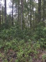 134 GEORGETOWN POINT RD
