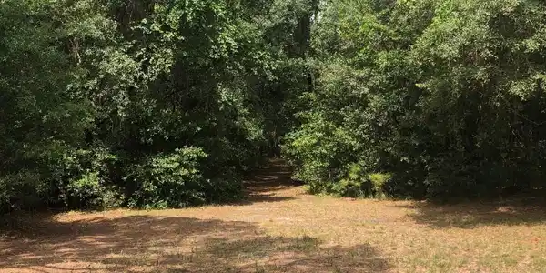 5989 CO RD 352