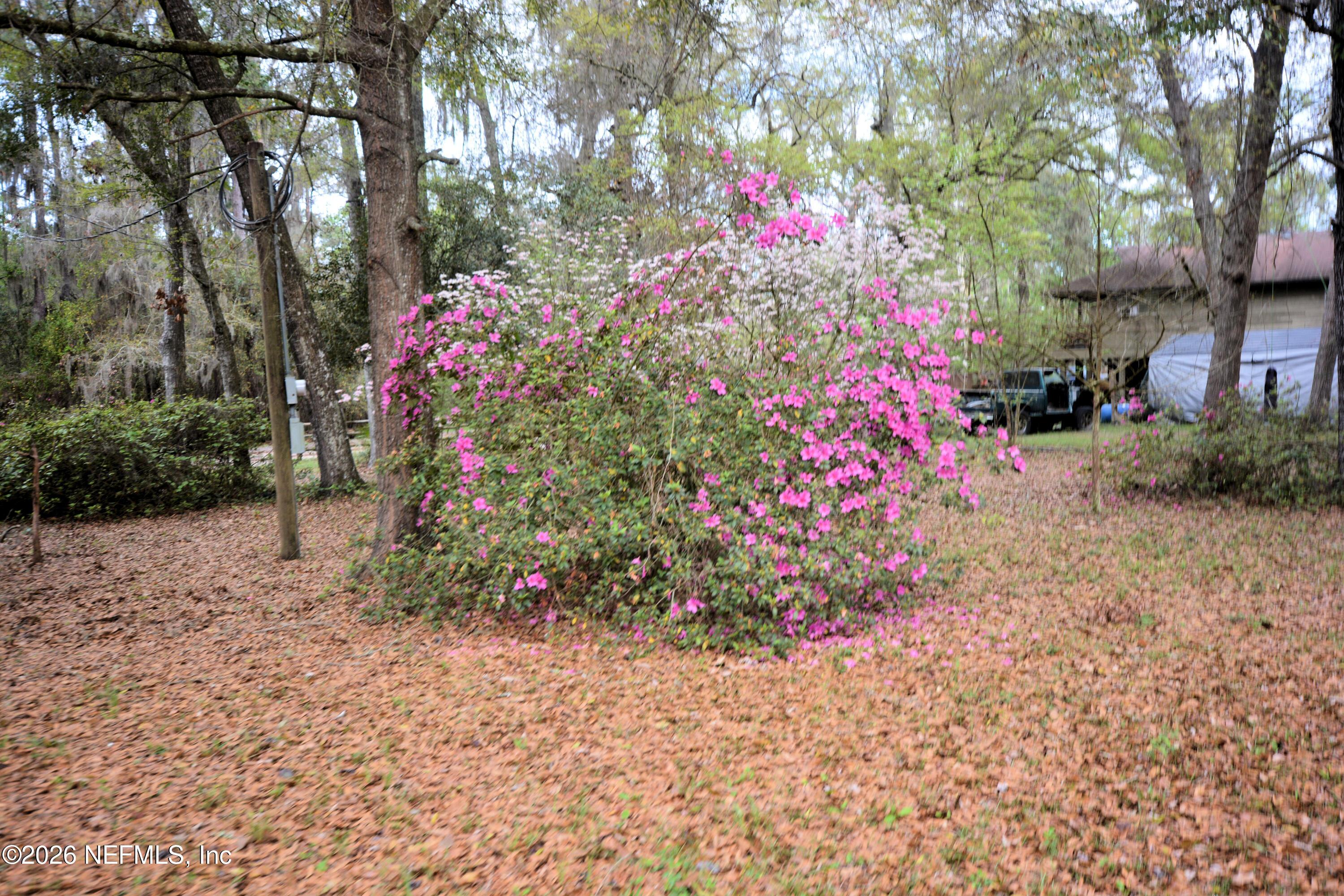 Image 2: JVT_5318