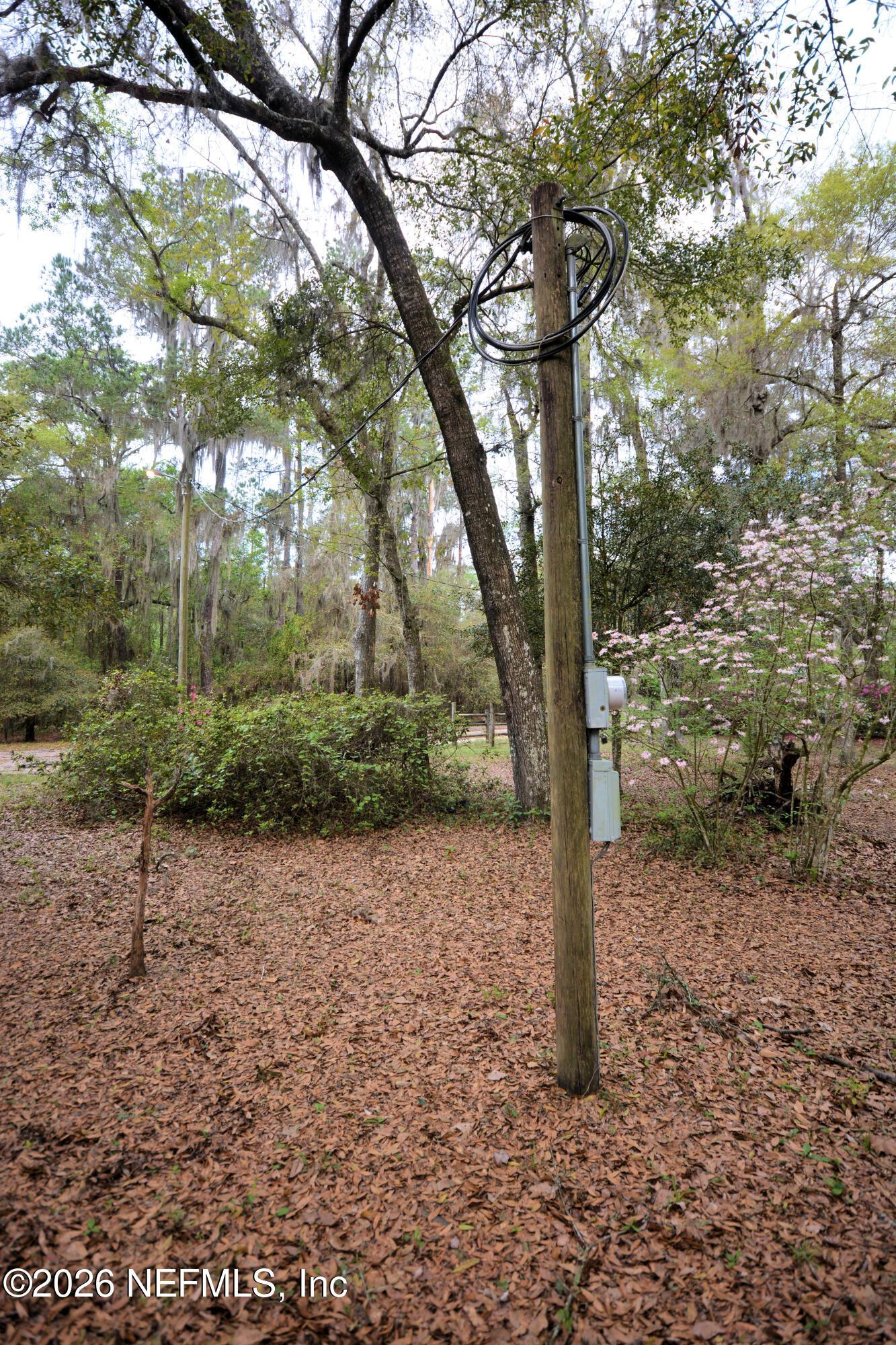 Image 3: JVT_5319