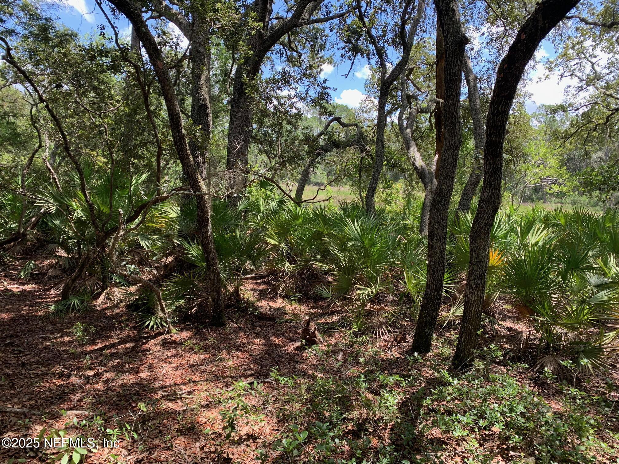 Image 4: Todd - 126 Pecan Av