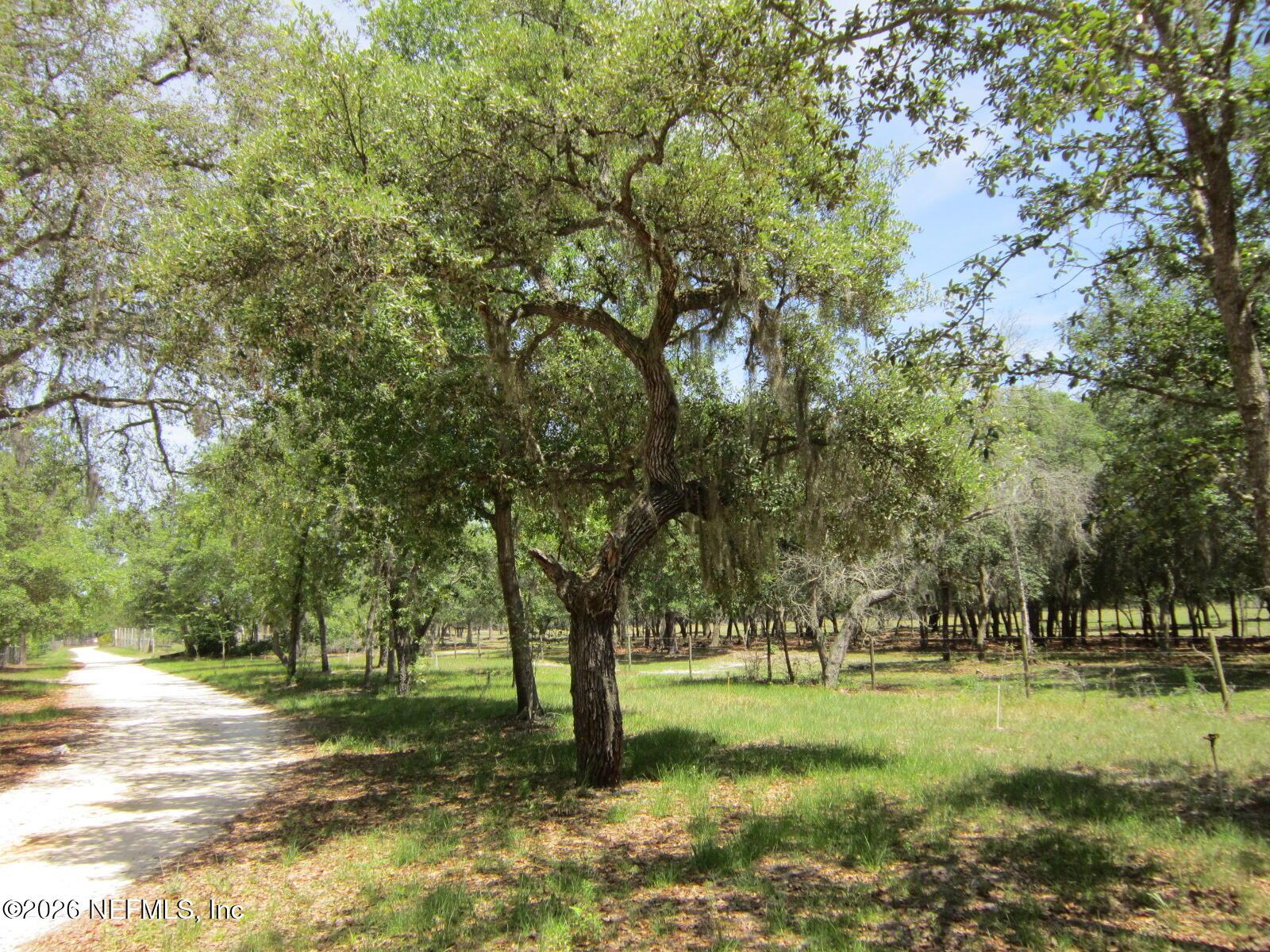 Image 3: IMG_0608