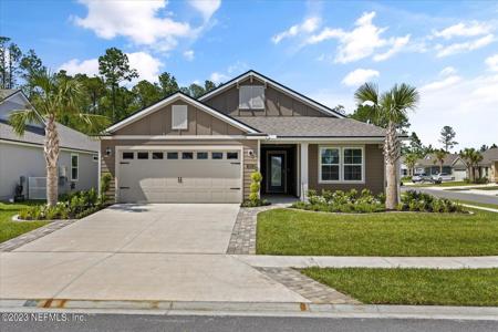 153 DOVE TREE