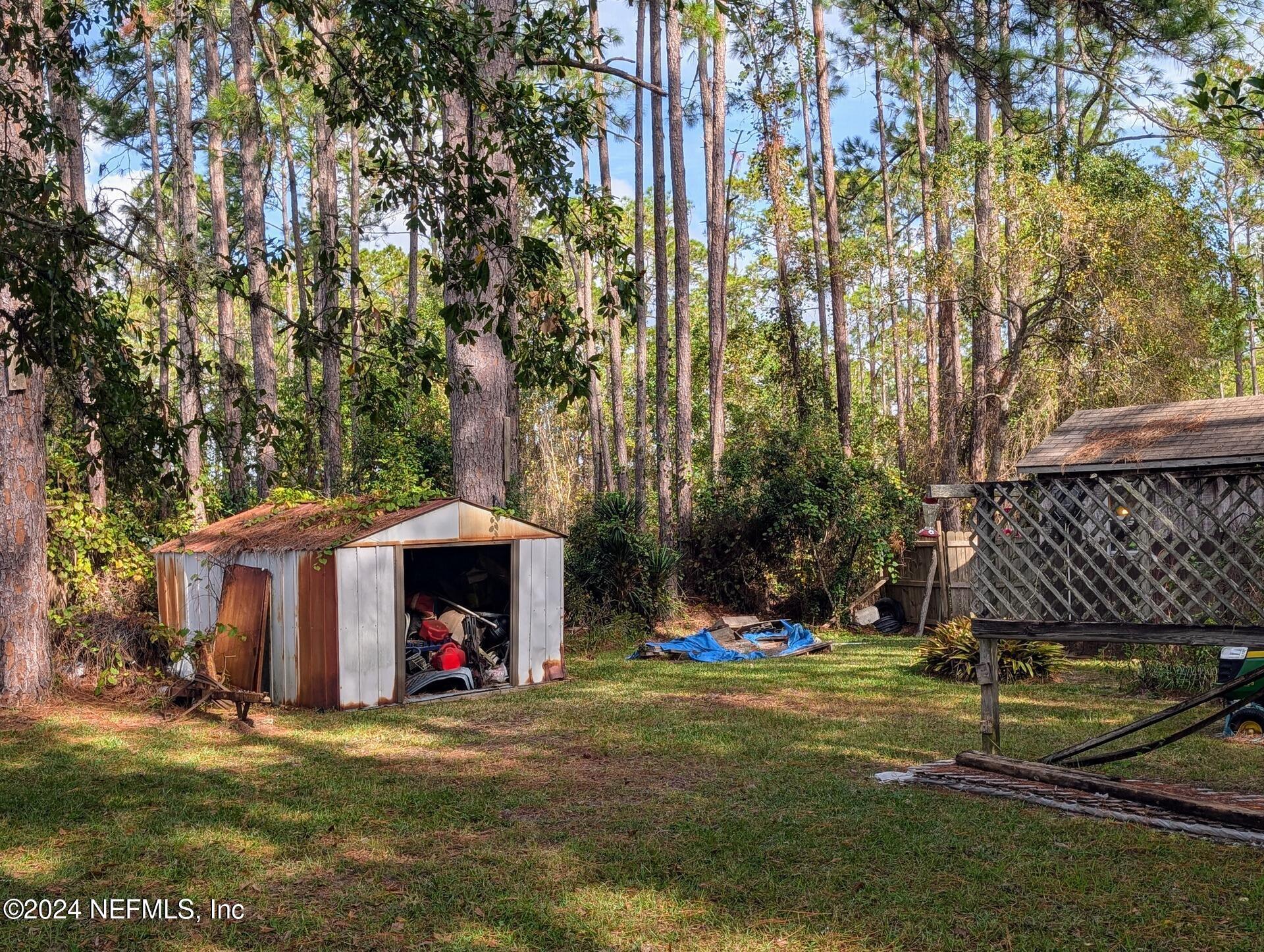 Image 4: Backyard Shed and Forest