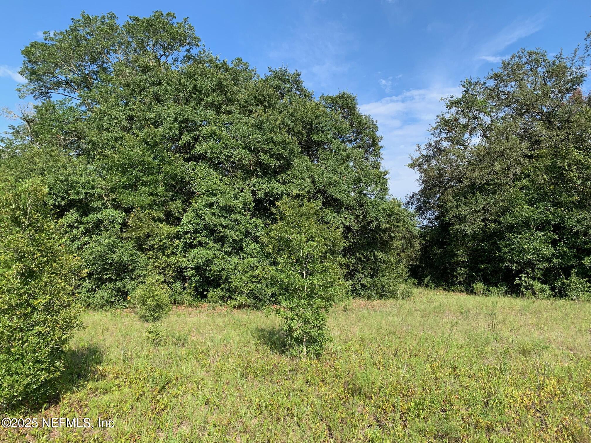 Image 1: Rhoden - Hayes Dr