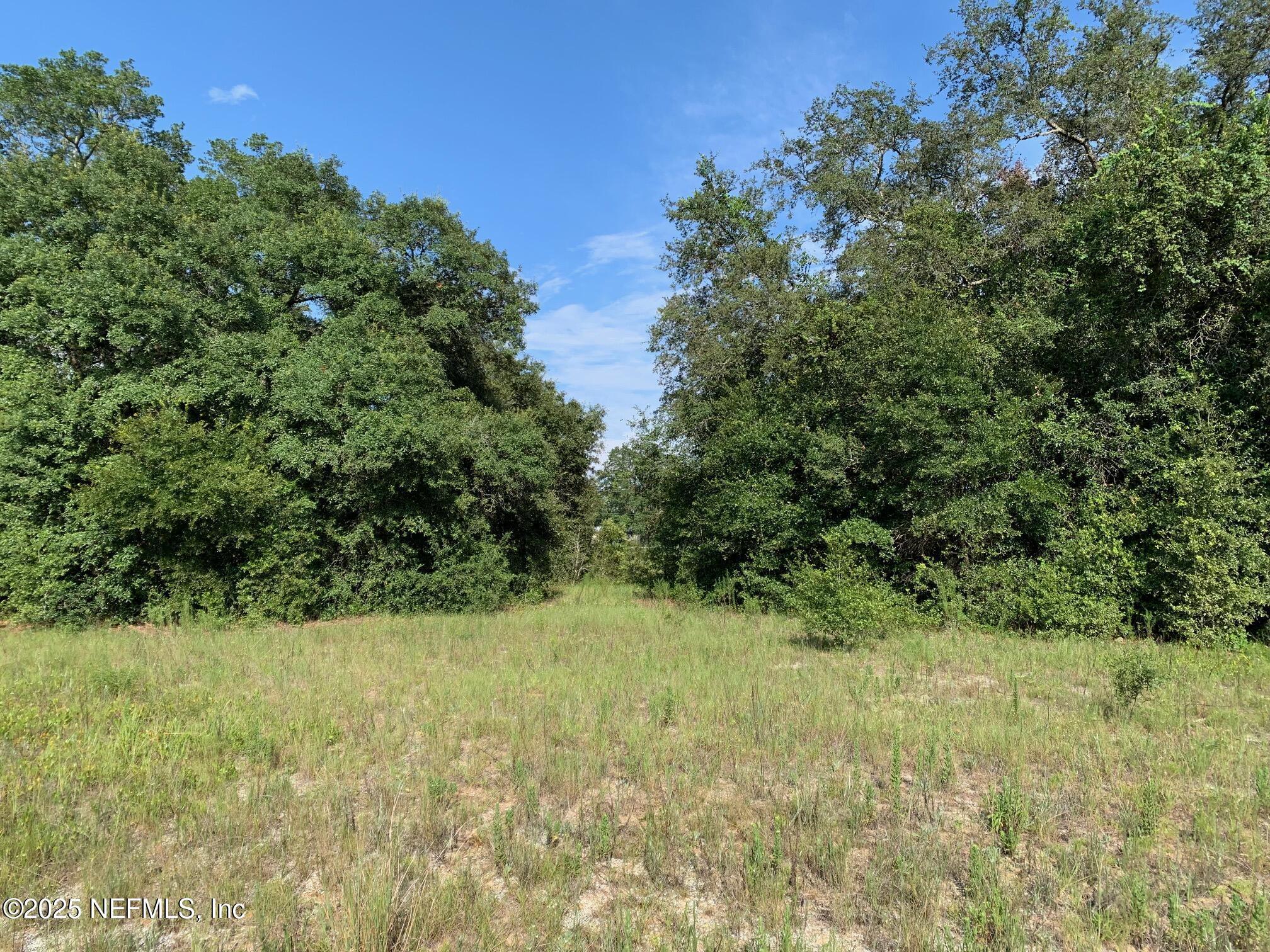 Image 3: Rhoden - Hayes Dr