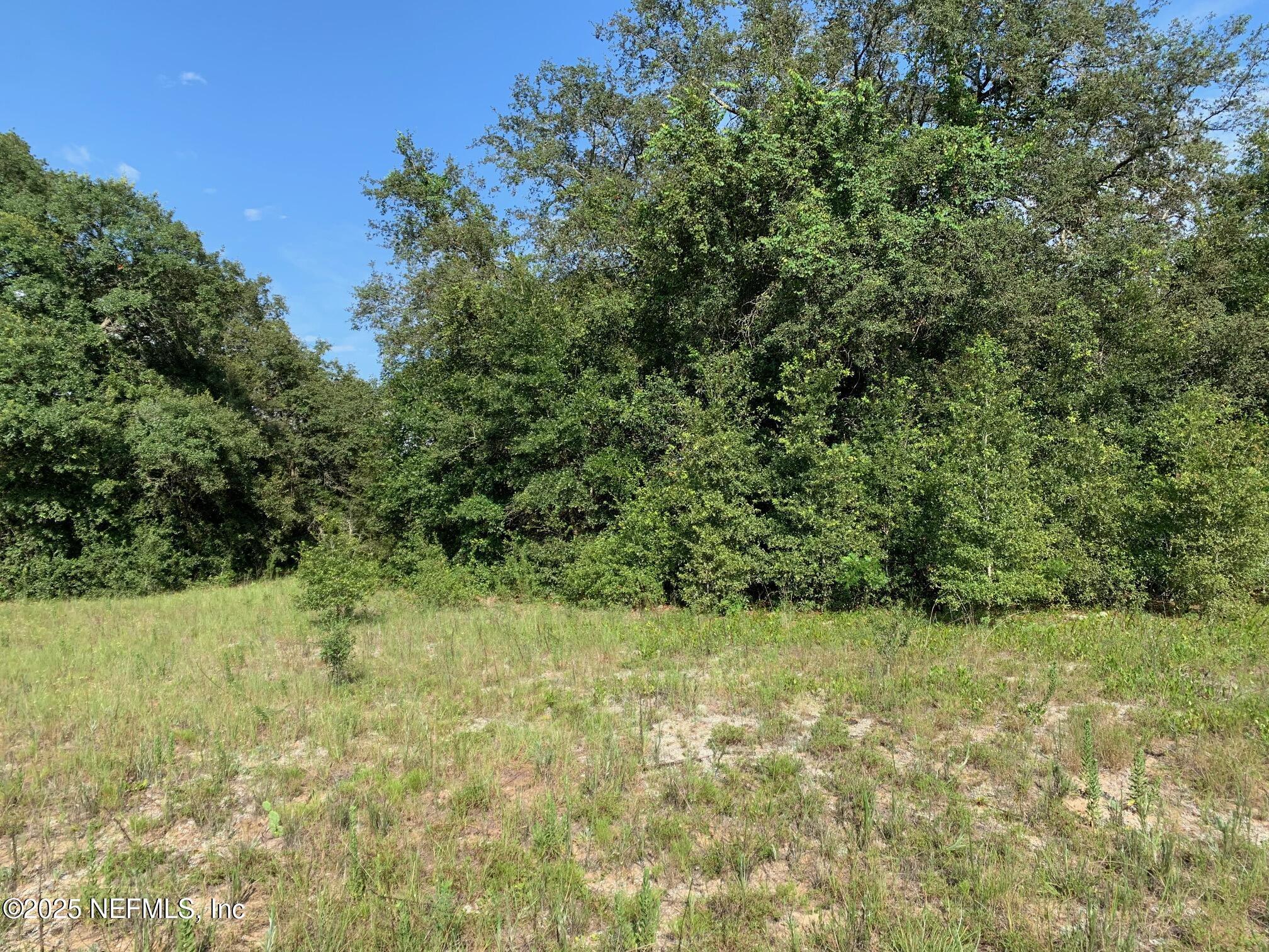 Image 4: Rhoden - Hayes Dr