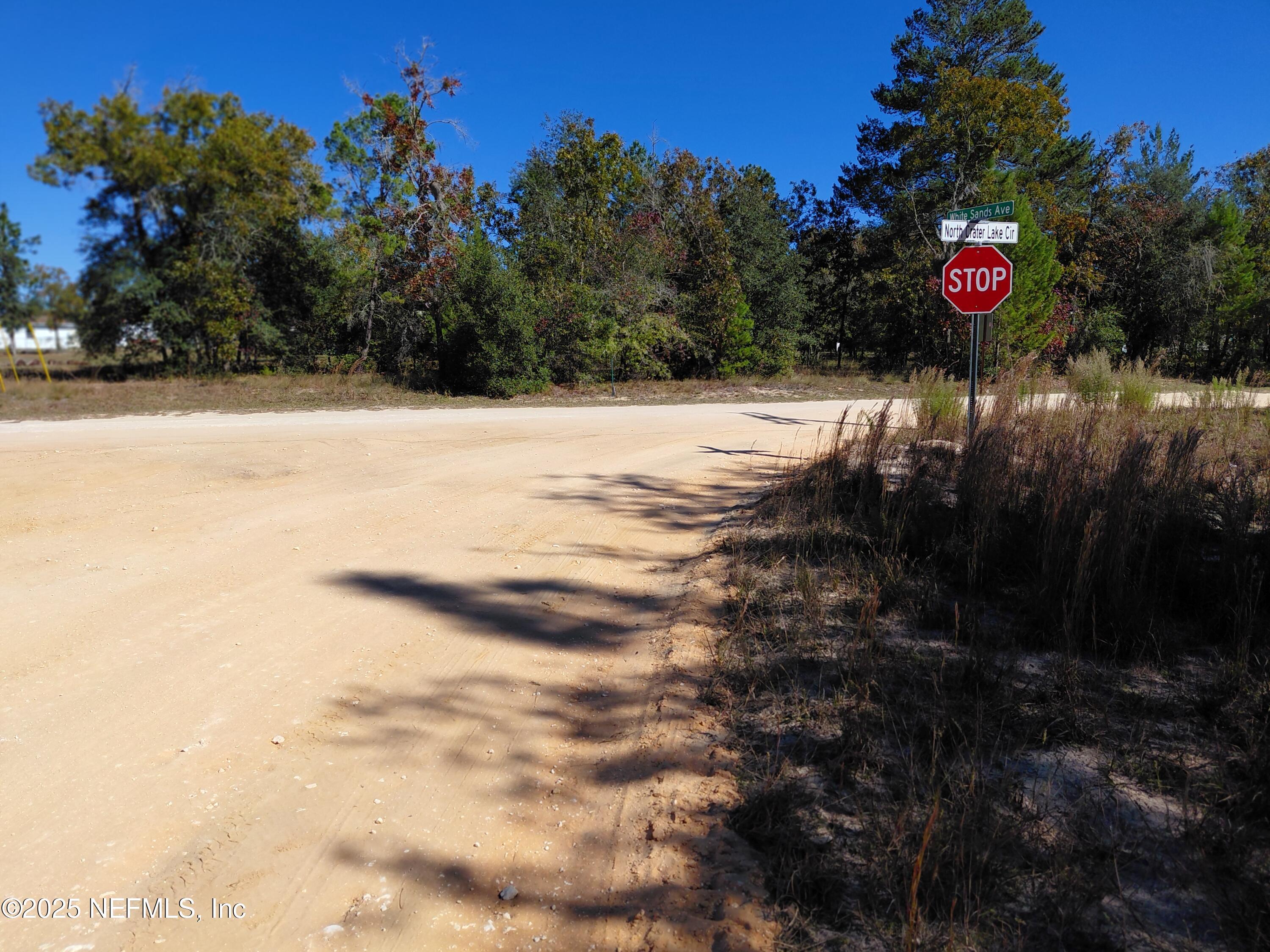 Image 2: 20251112_112937