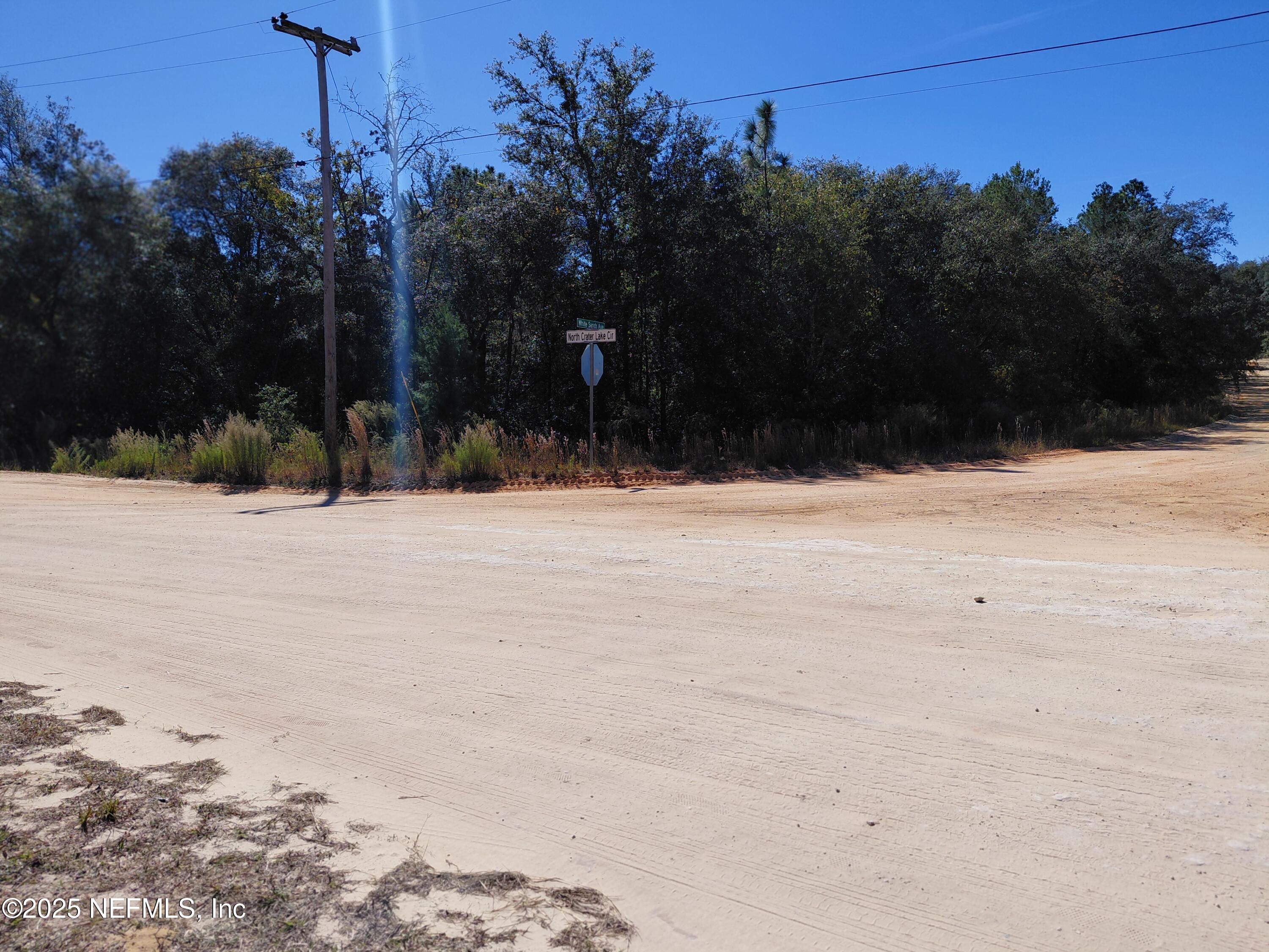 Image 3: 20251112_112812