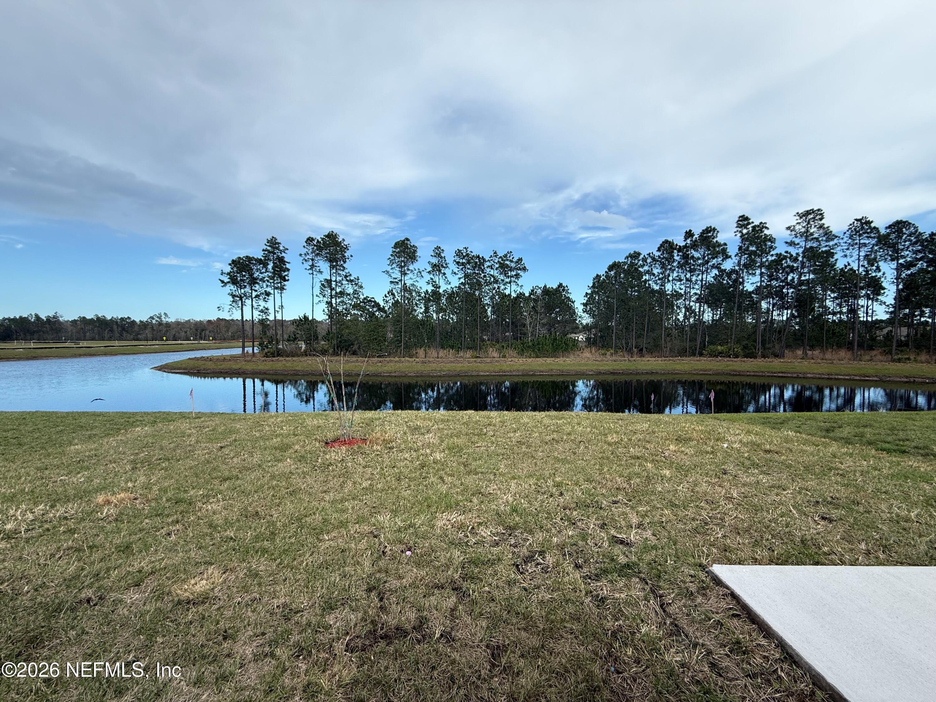 Image 2: backyard