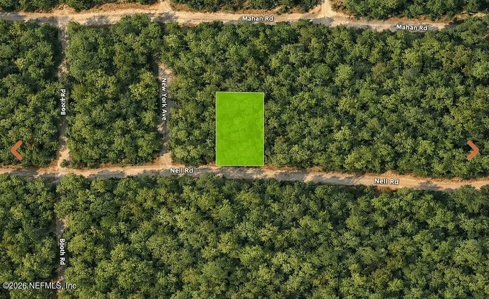 Image 3: 0 Nell Rd(3)