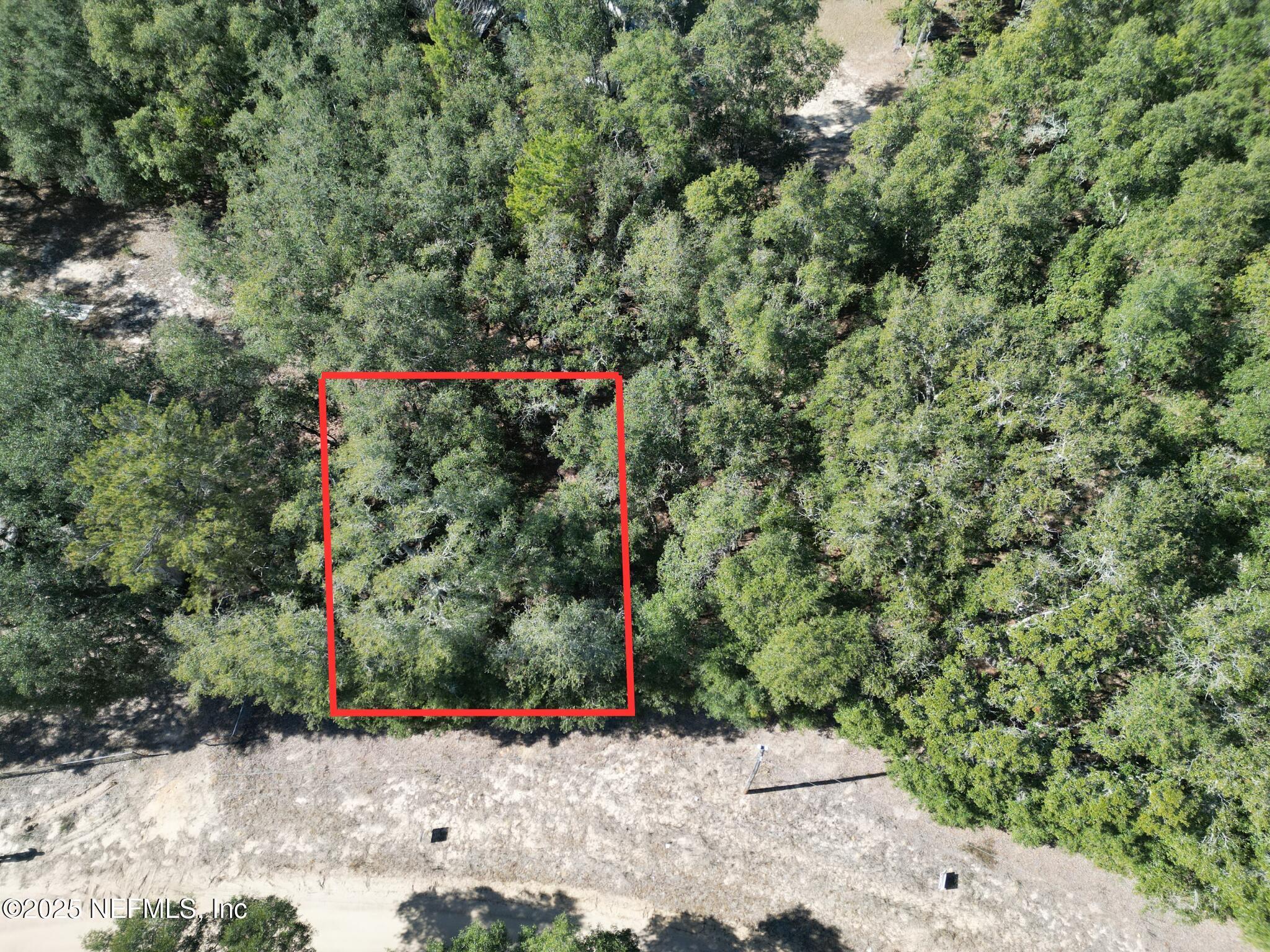 Image 3: 217 Lake Lucy Cres