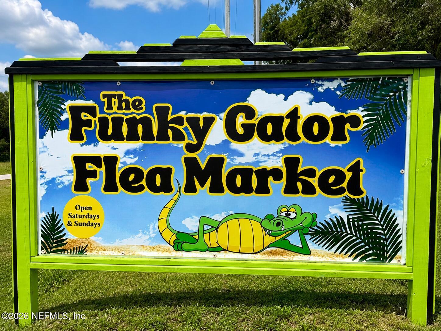 Image 2: Funky Gator Front