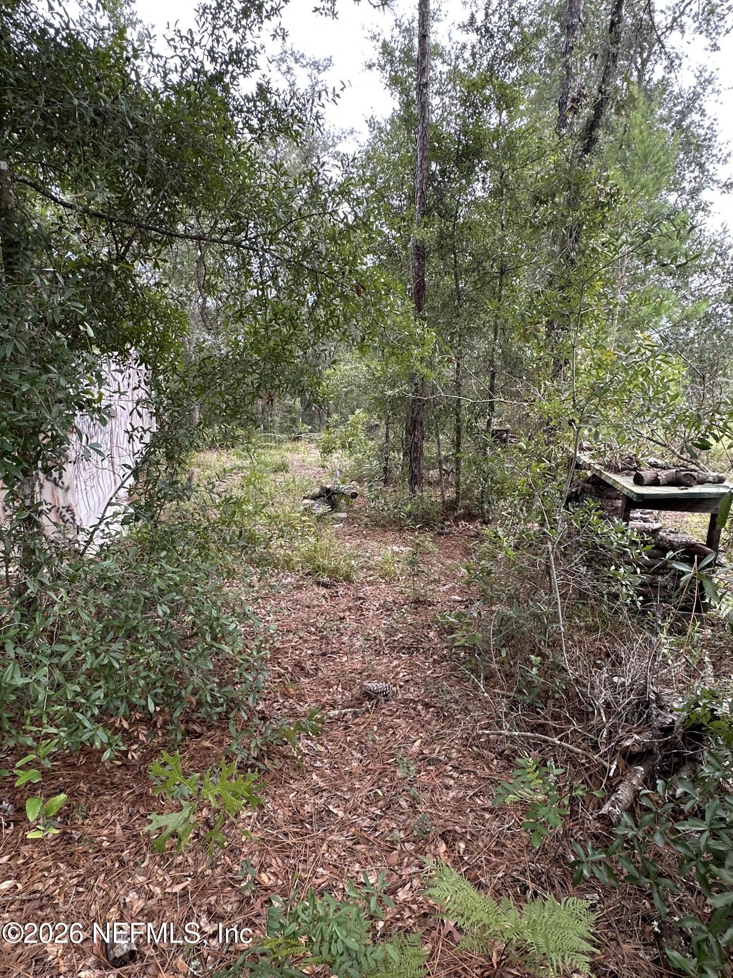 Image 4: wood trail