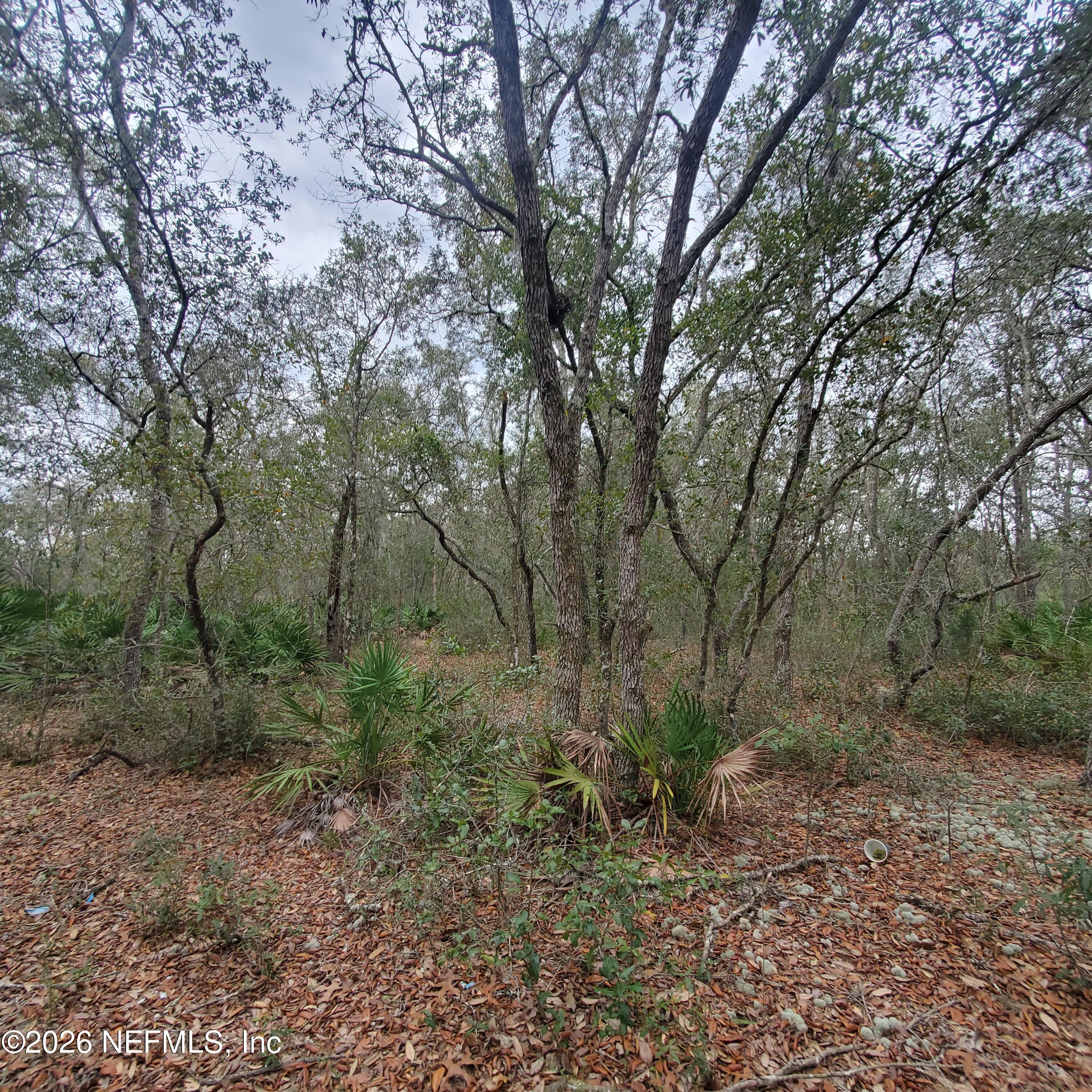 Image 3: haile lot 3