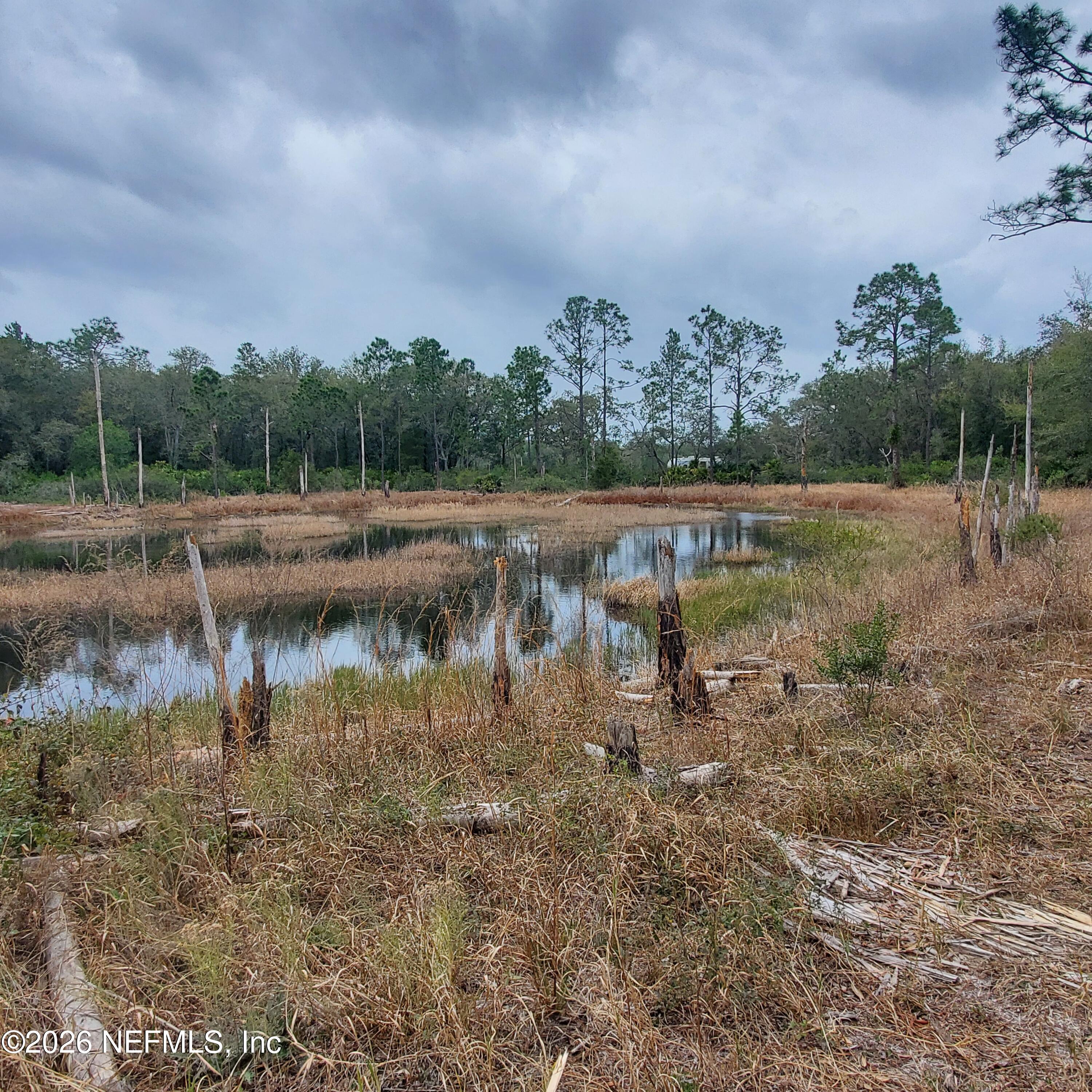 Image 4: haile lot 5