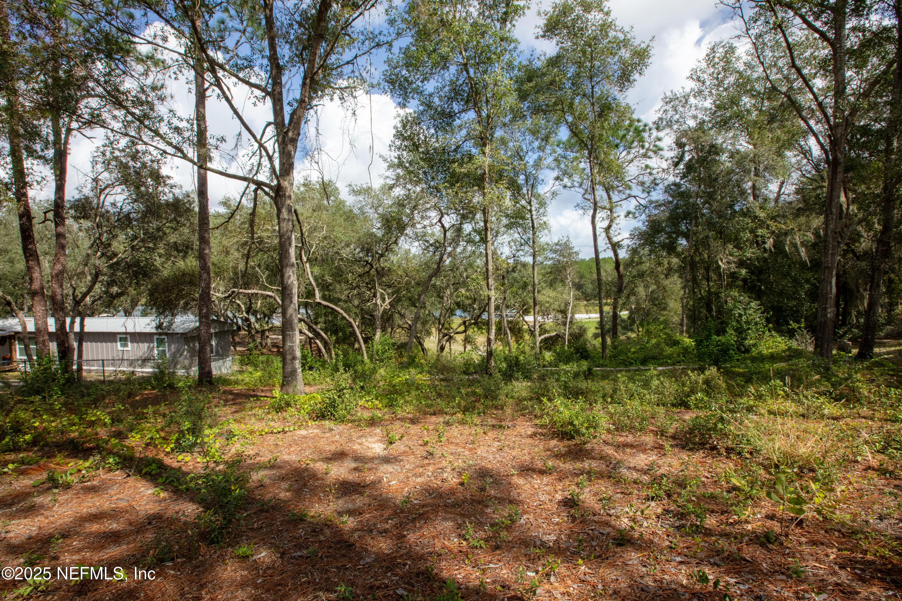Image 2: 6956DeerSpringsMLS-11