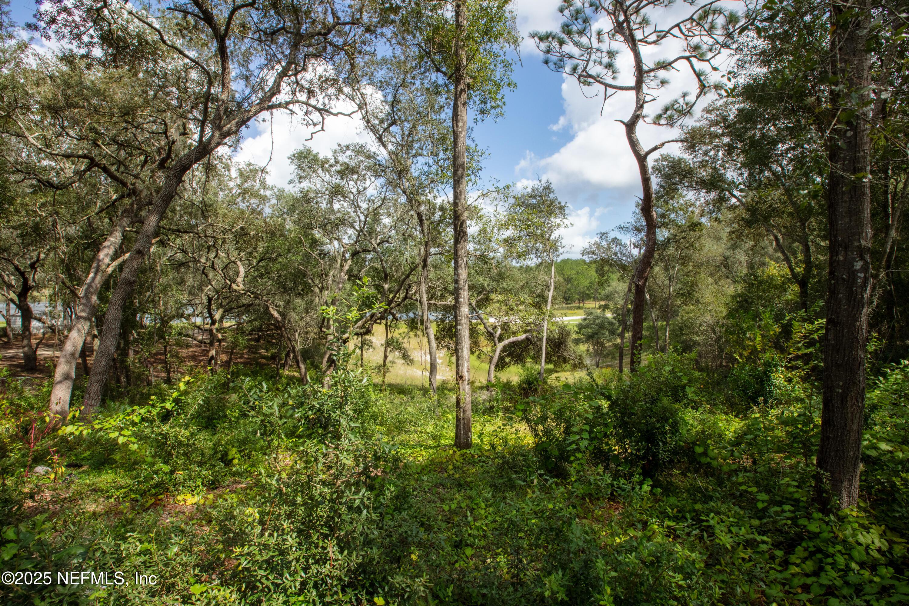 Image 3: 6956DeerSpringsMLS-12