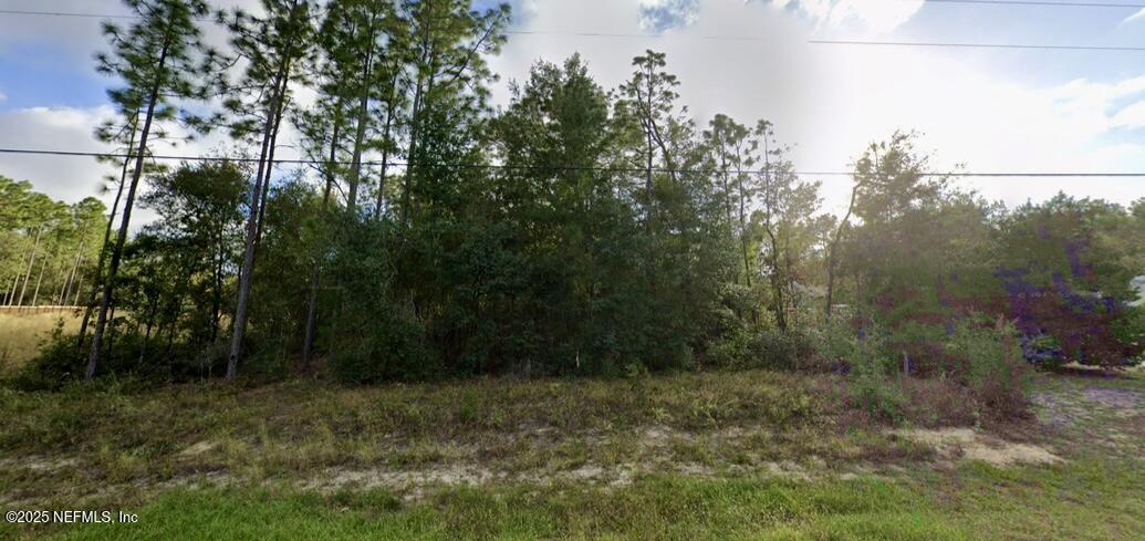 Image 2: 5769 SILVER SANDS CIR