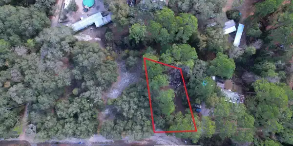 113 LAKE EDGE Trail
