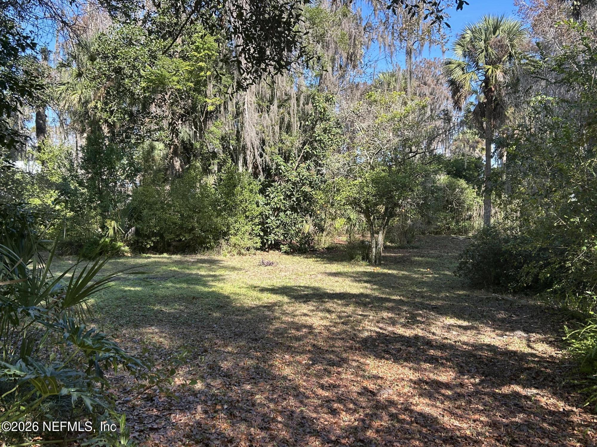 Image 3: Beautiful Lot