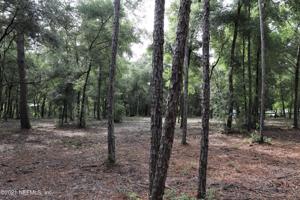 5334 COUNTY ROAD 352