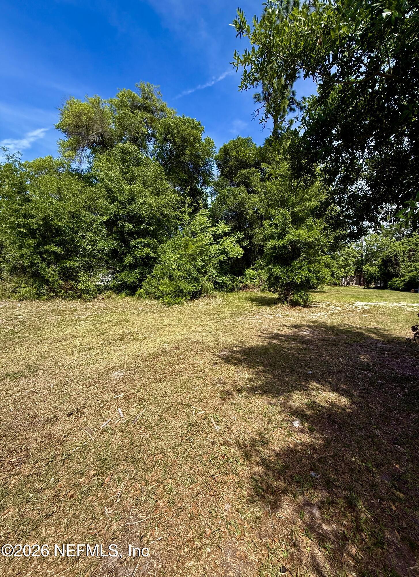 Image 3: IMG_3074