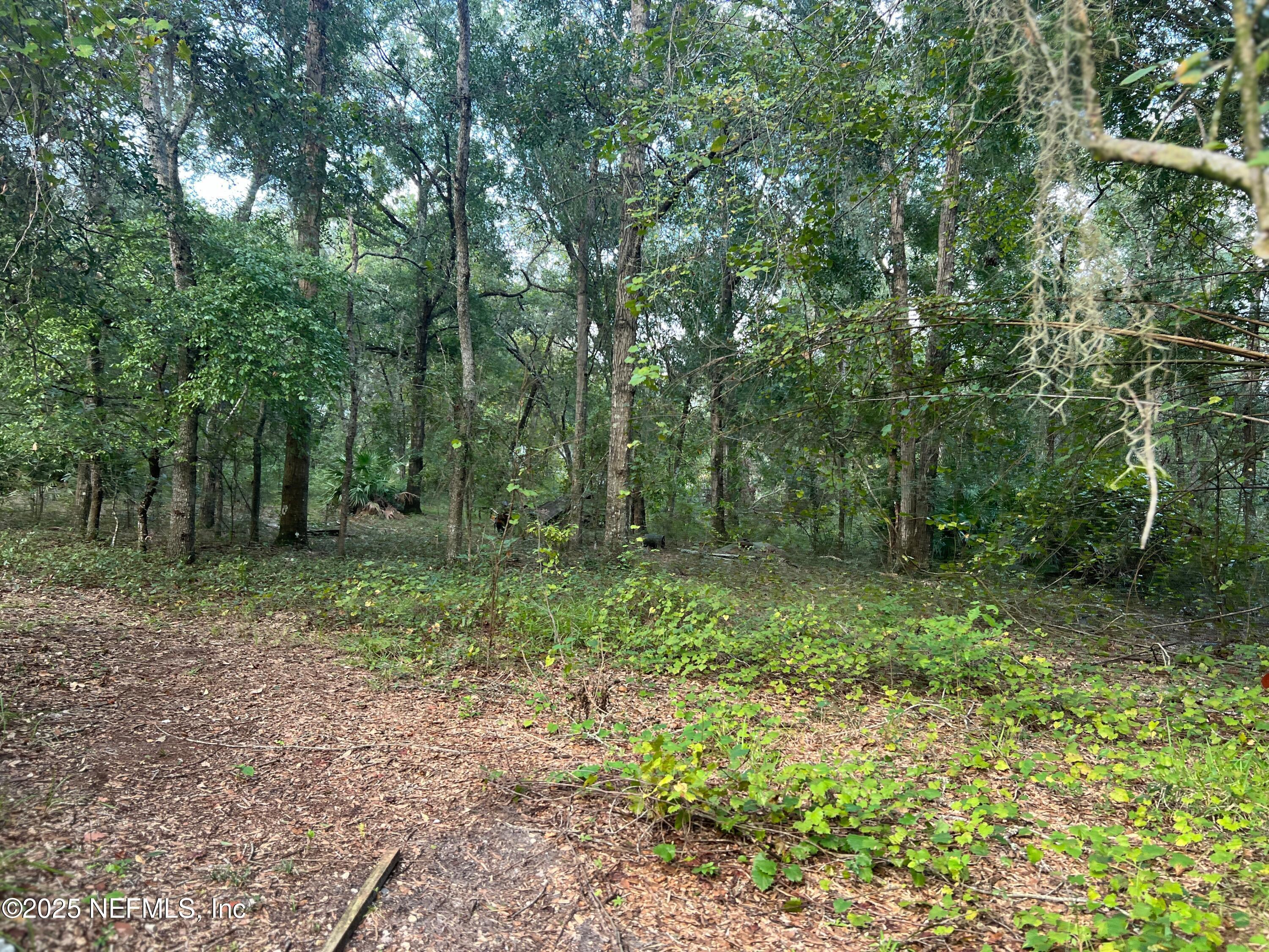 Image 1: Land