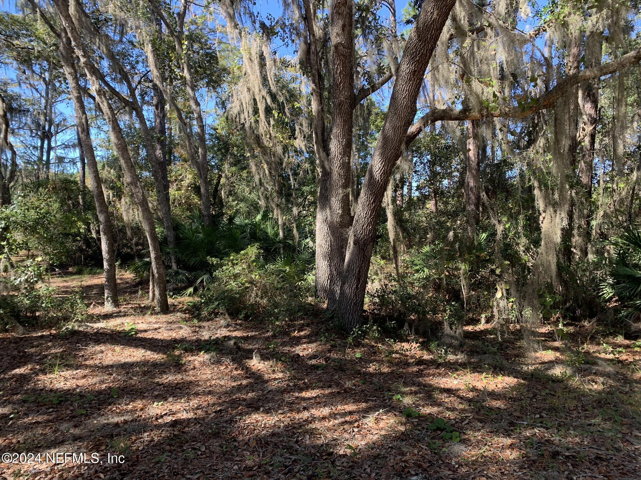 Image 4: Hepler - 105 Palmer Dr