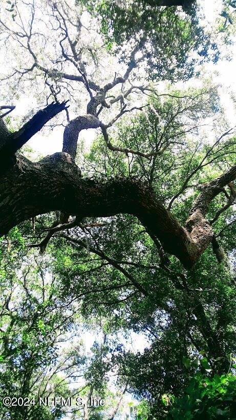 Image 2: 5377 Custer Live Oak Branch
