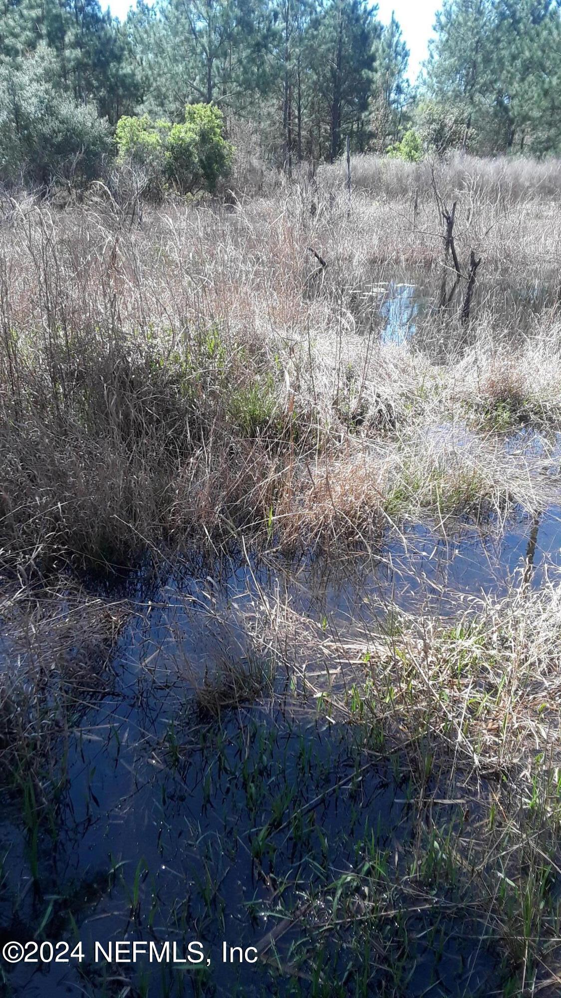 Image 3: 5377 Custer Lakefront has shallow water