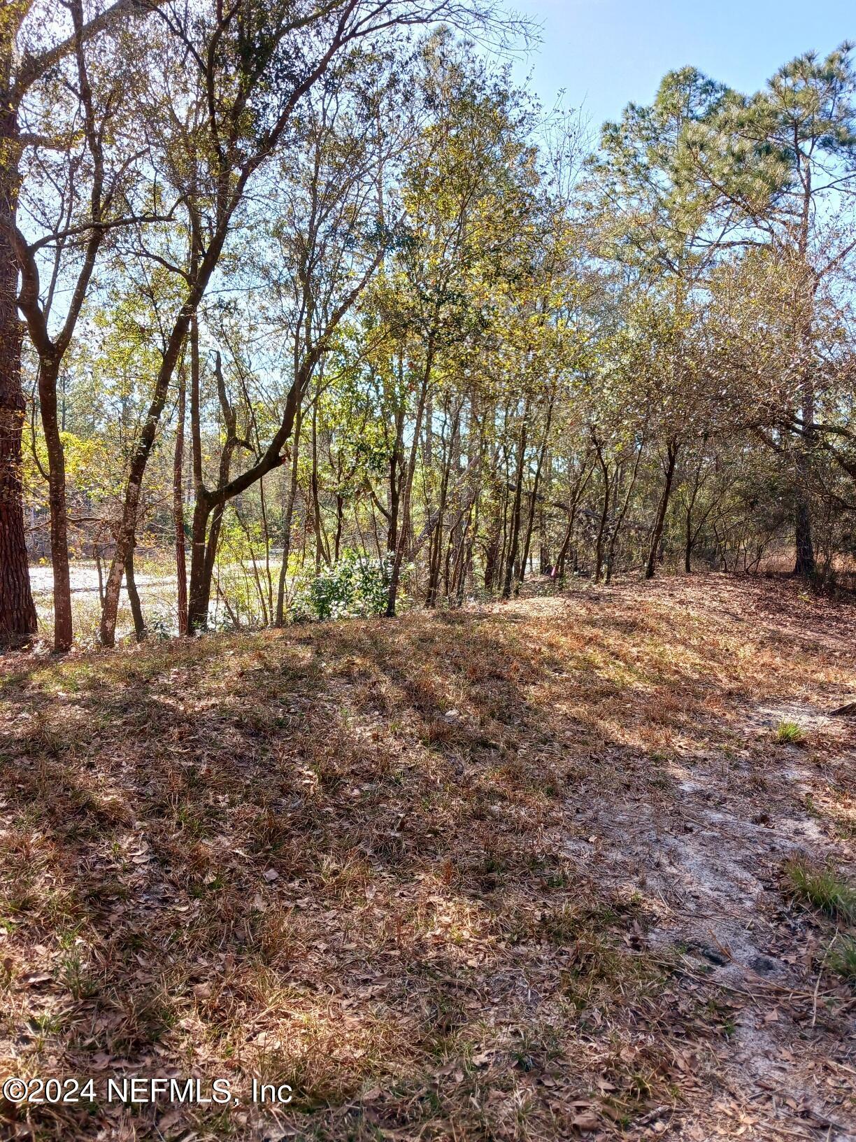 Image 1: 5455 Joshua, Berm by Lake. Feb 2023