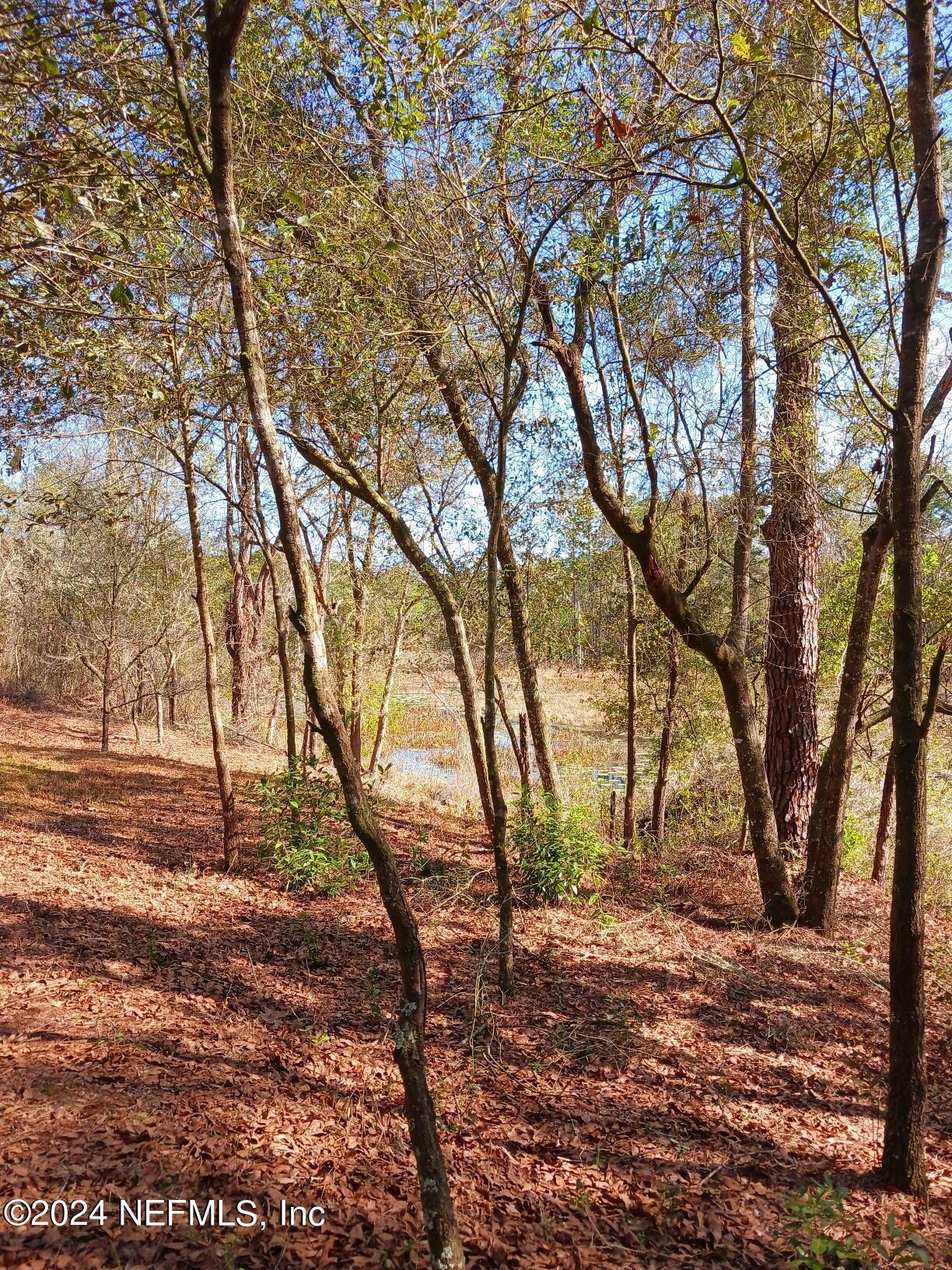 Image 2: Joshua St. Fall