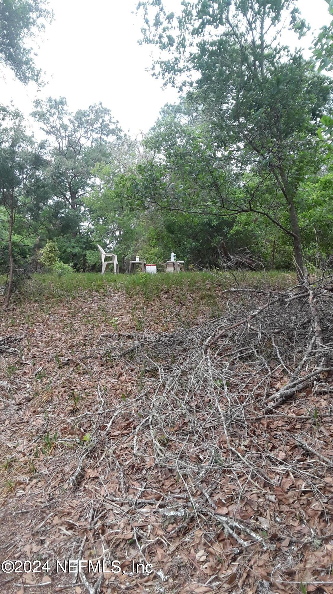 Image 3: 5455 Joshua St. Picnic on bank of lake