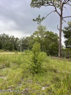 Image 4: 4