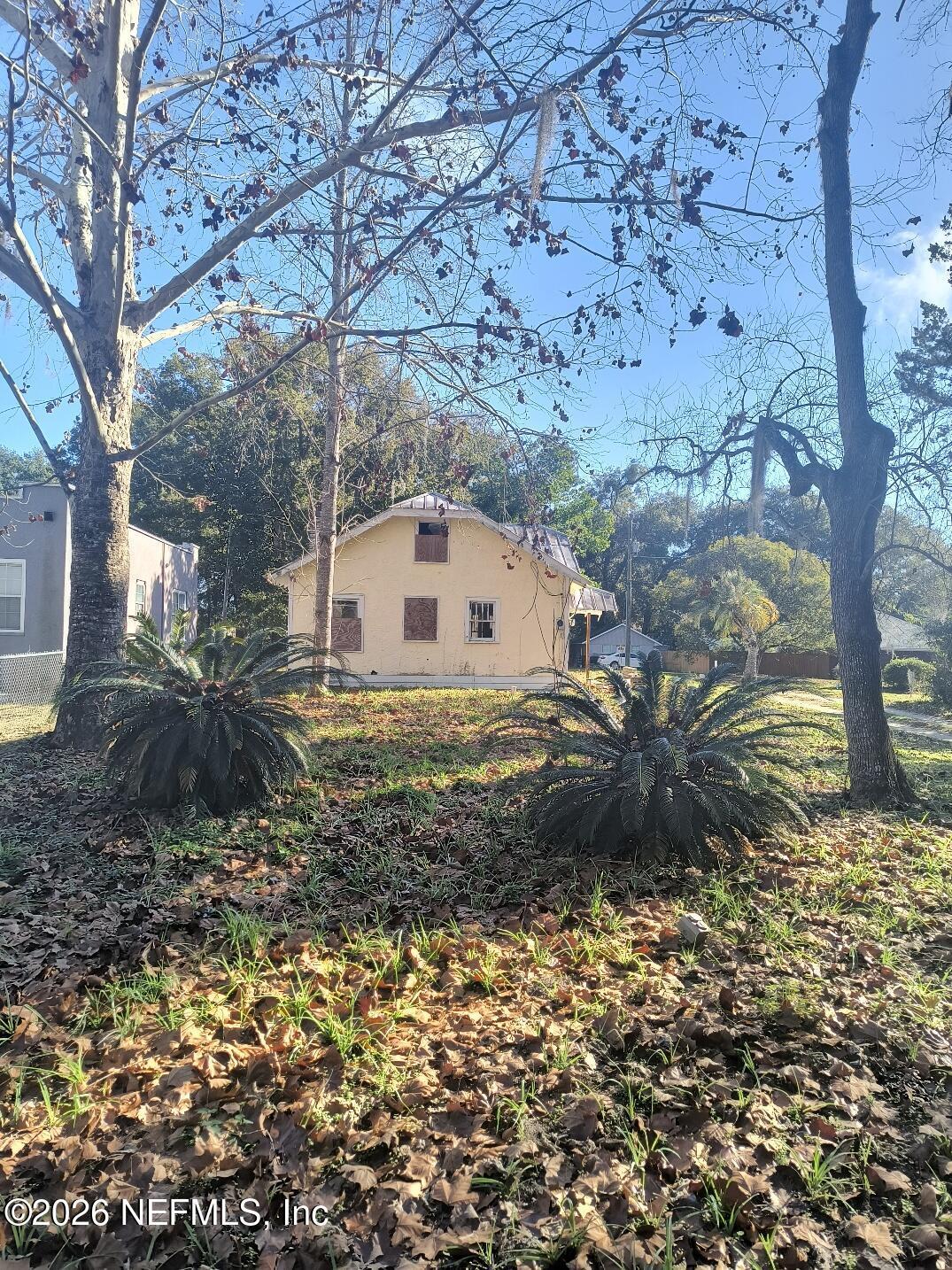 Image 4: IMG_20260110_100910040_HDR