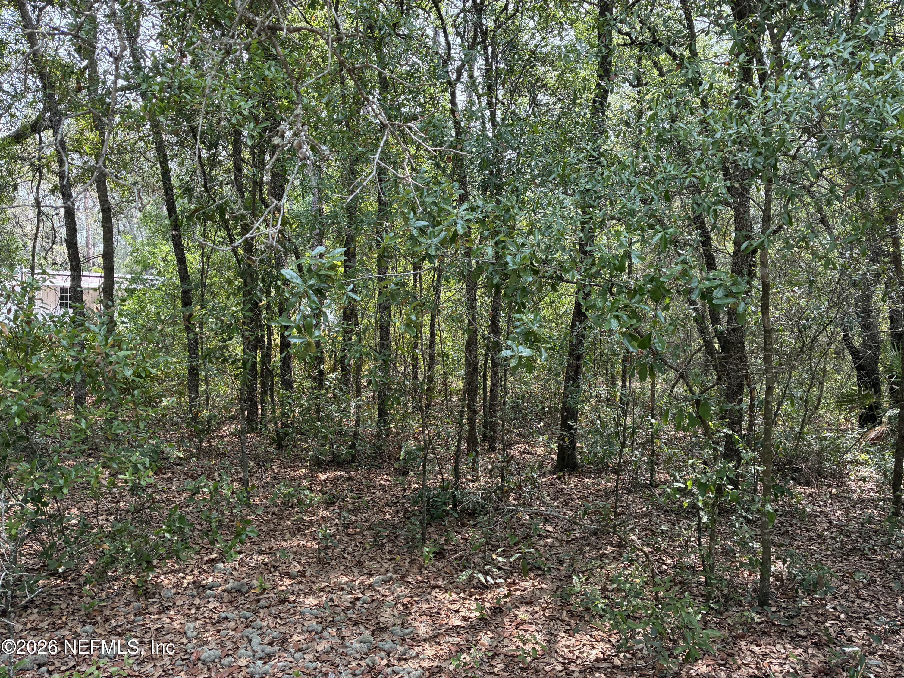 Image 1: Shaw - 176 & 180 Maple Ln