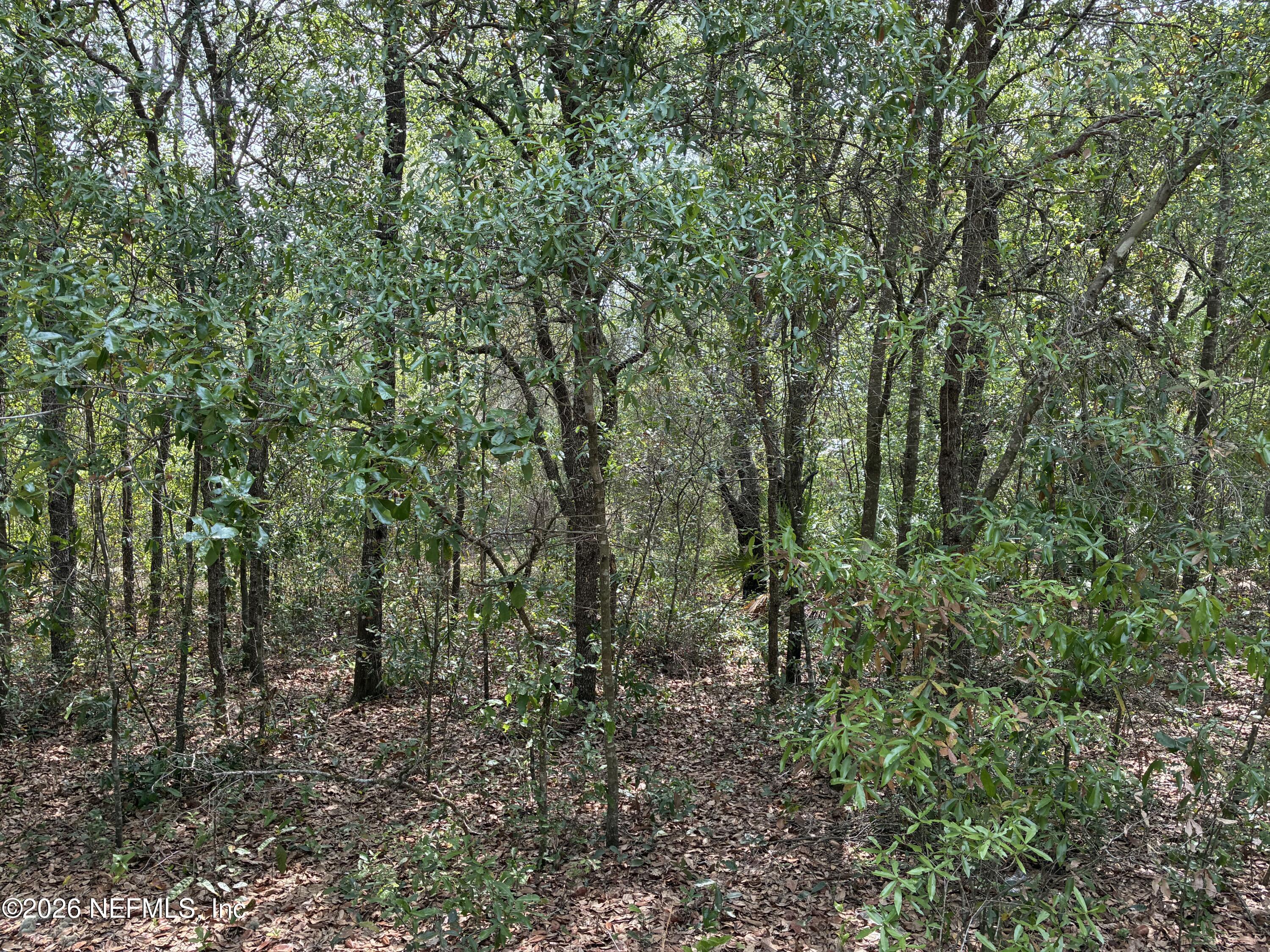 Image 2: Shaw - 176 & 180 Maple Ln