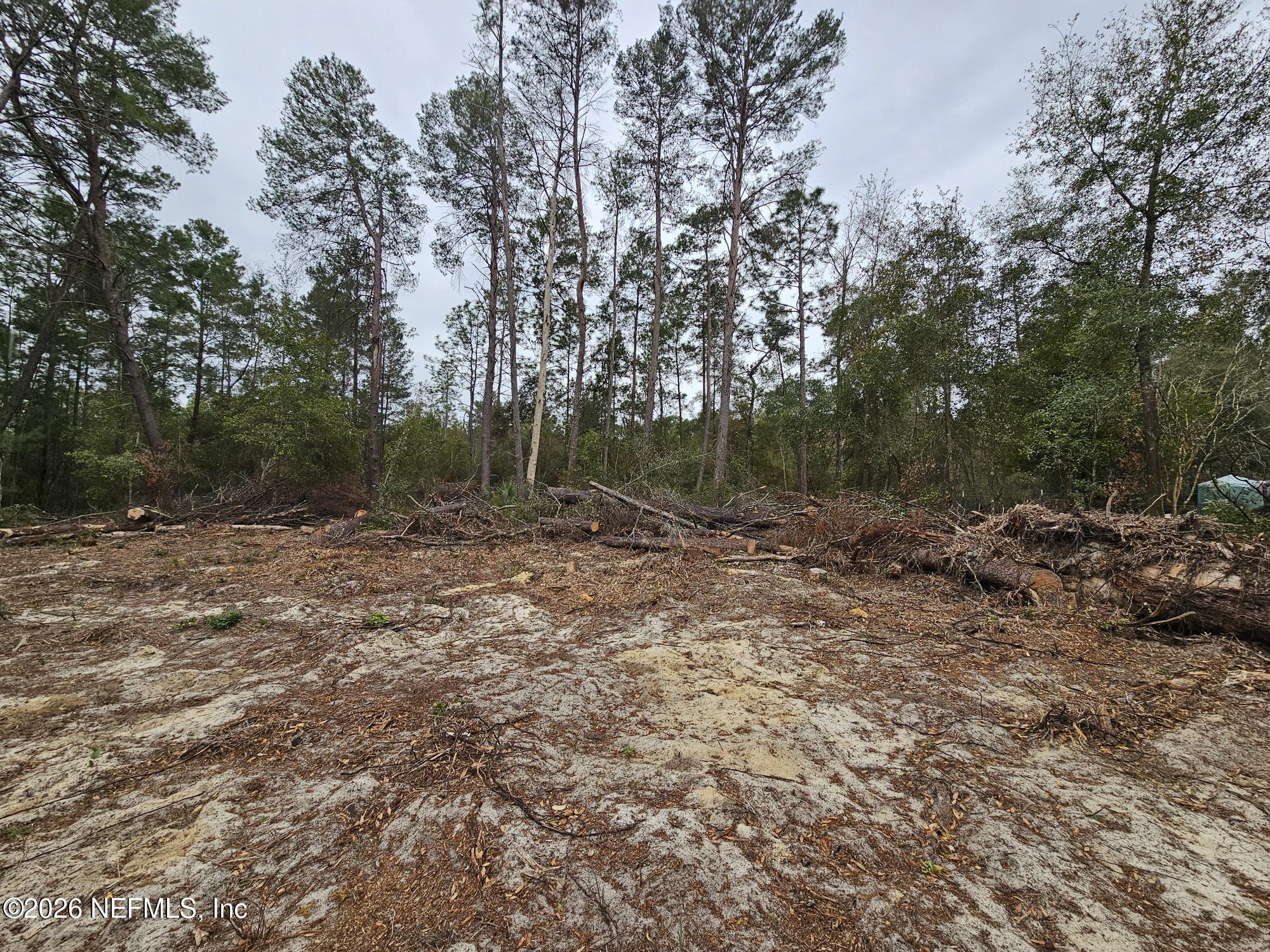 Image 2: 20260211_135156