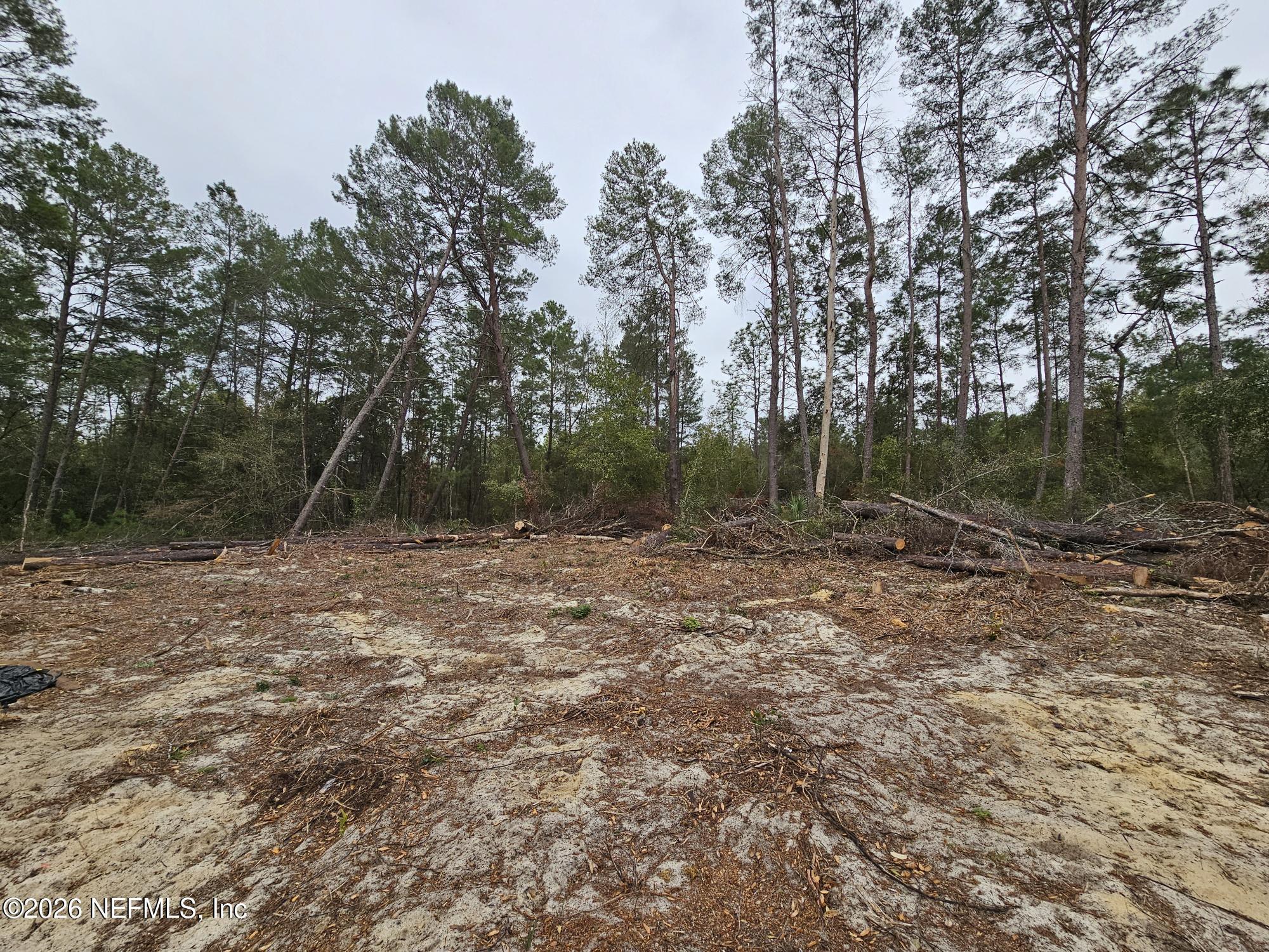 Image 3: 20260211_135200