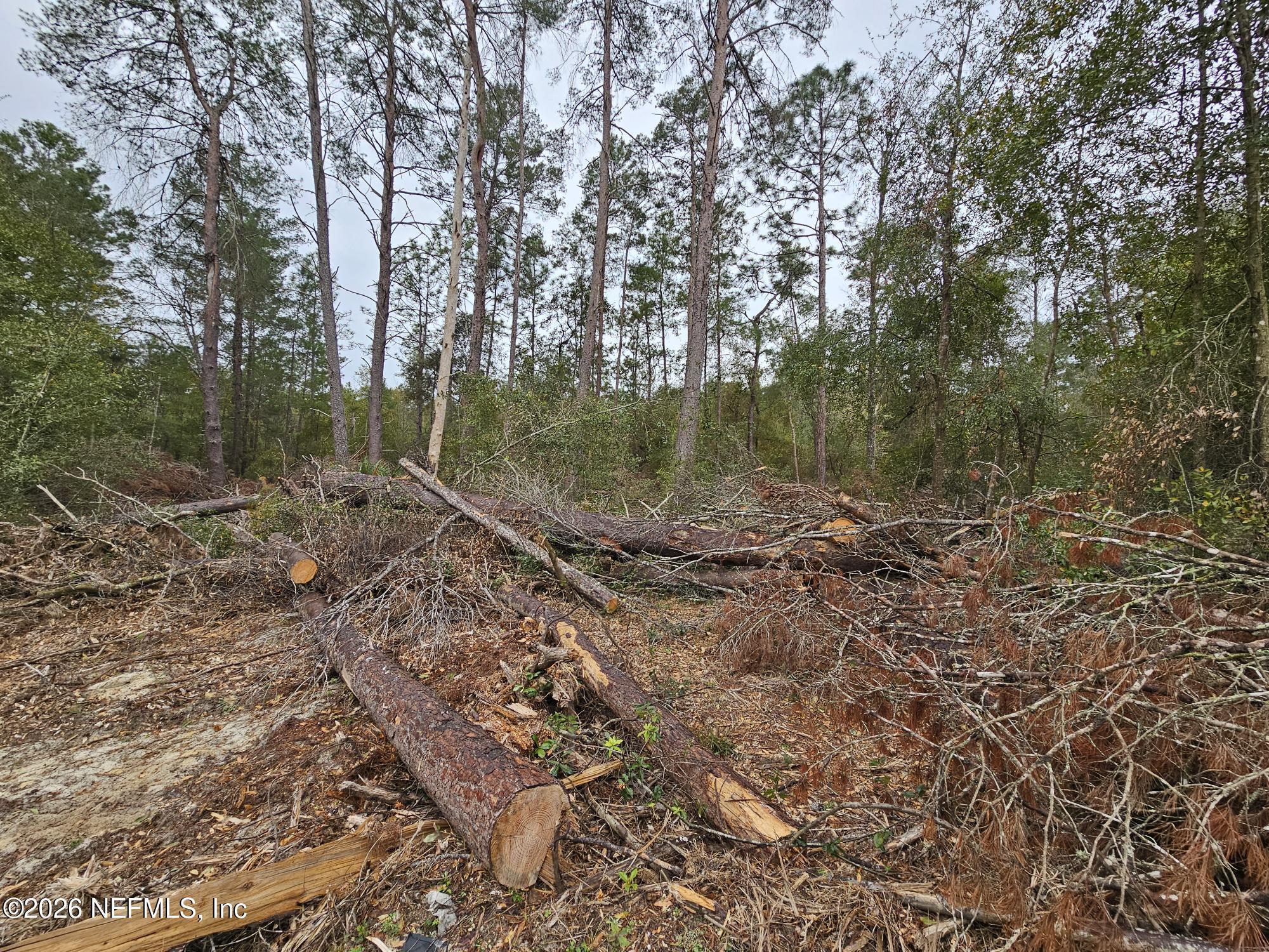 Image 4: 20260211_135223