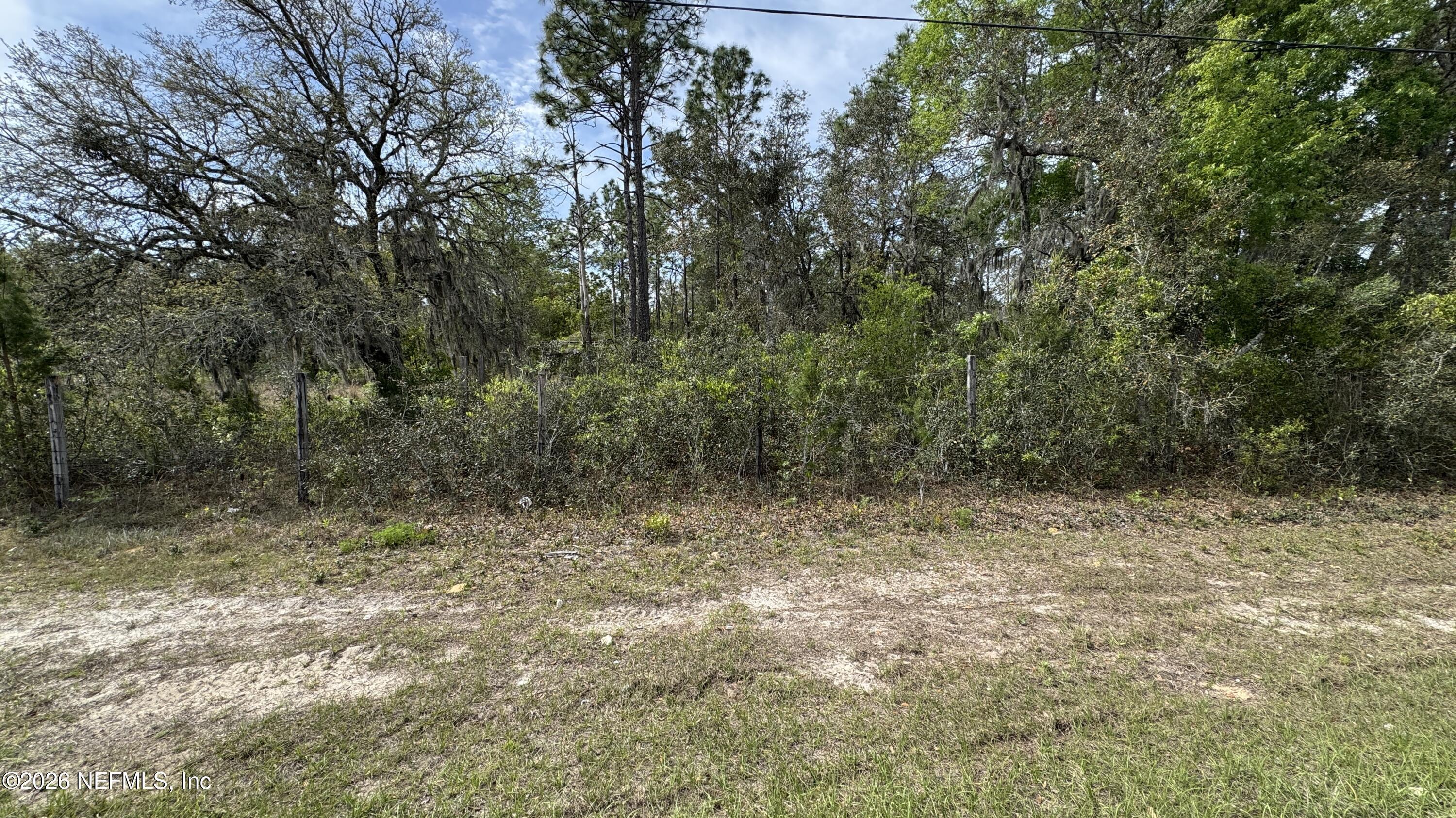 Image 3: 00 State Rd 20, Interlachen, FL