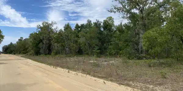 LOT 15 GUY Avenue