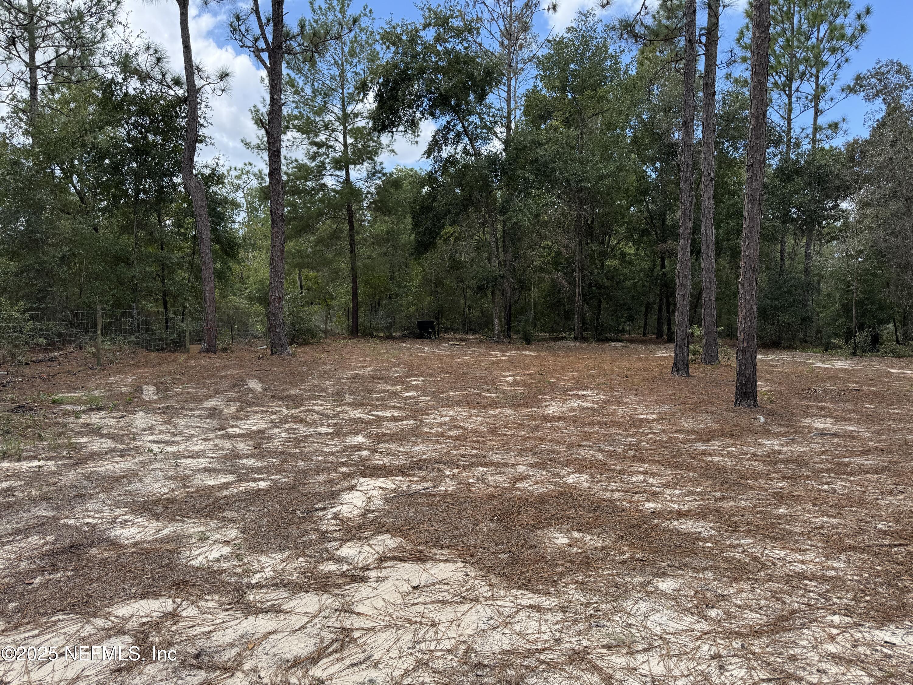 Image 4: 207 Andree Ave, Interlachen, Florida