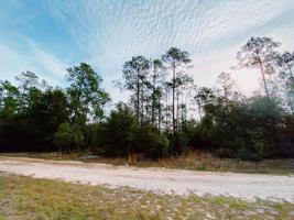 00 ROLLINS RD