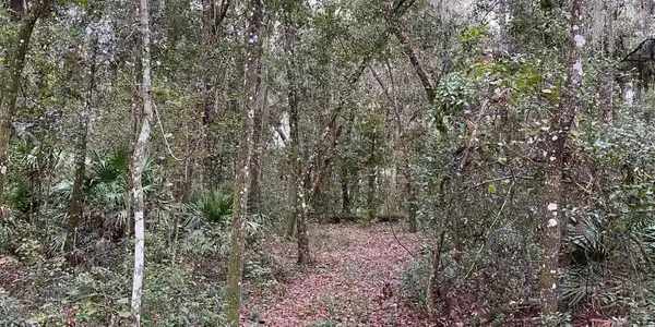 0 DOCTORS LAKE DR