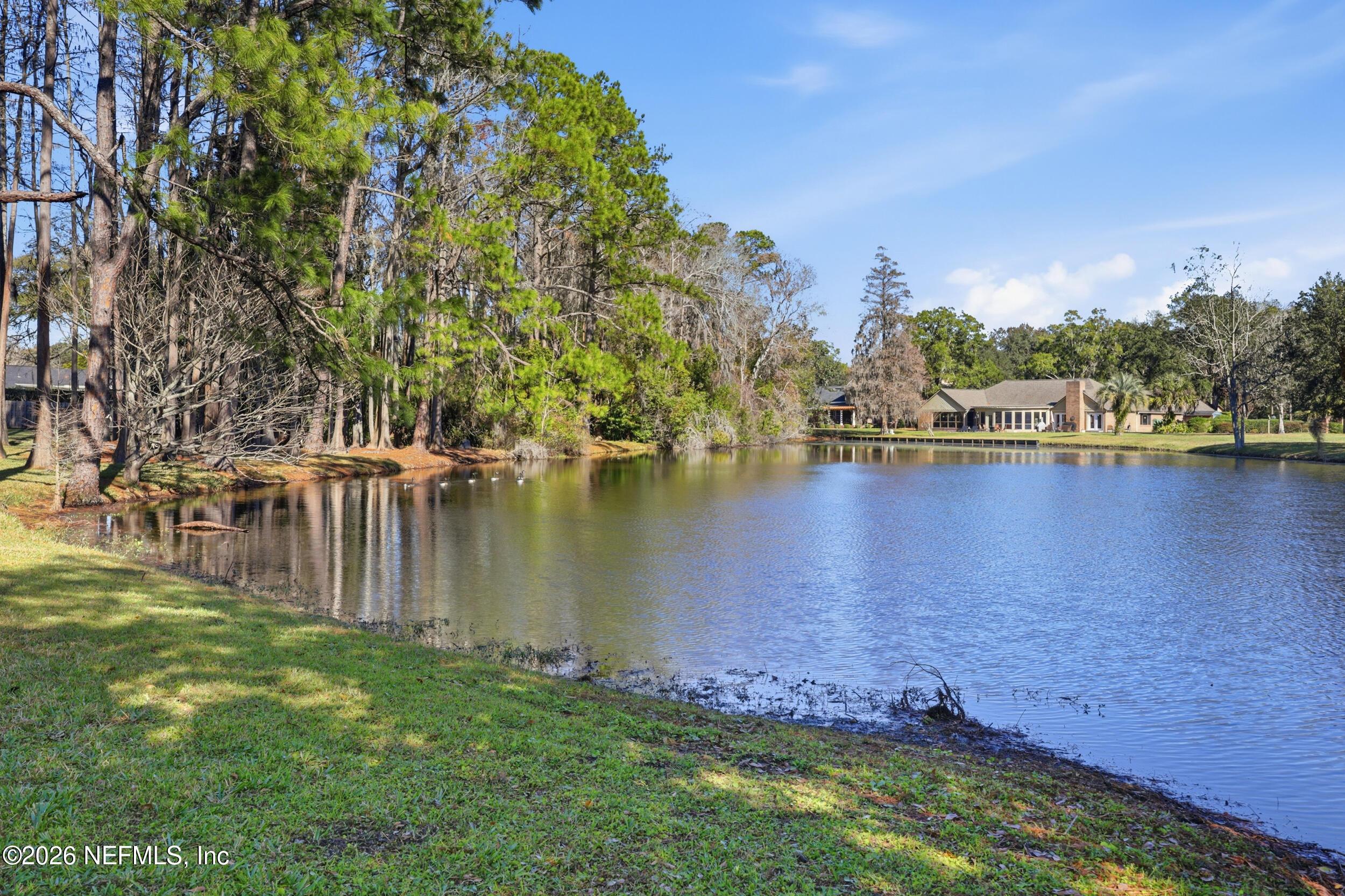 Image 3: Backyard Views