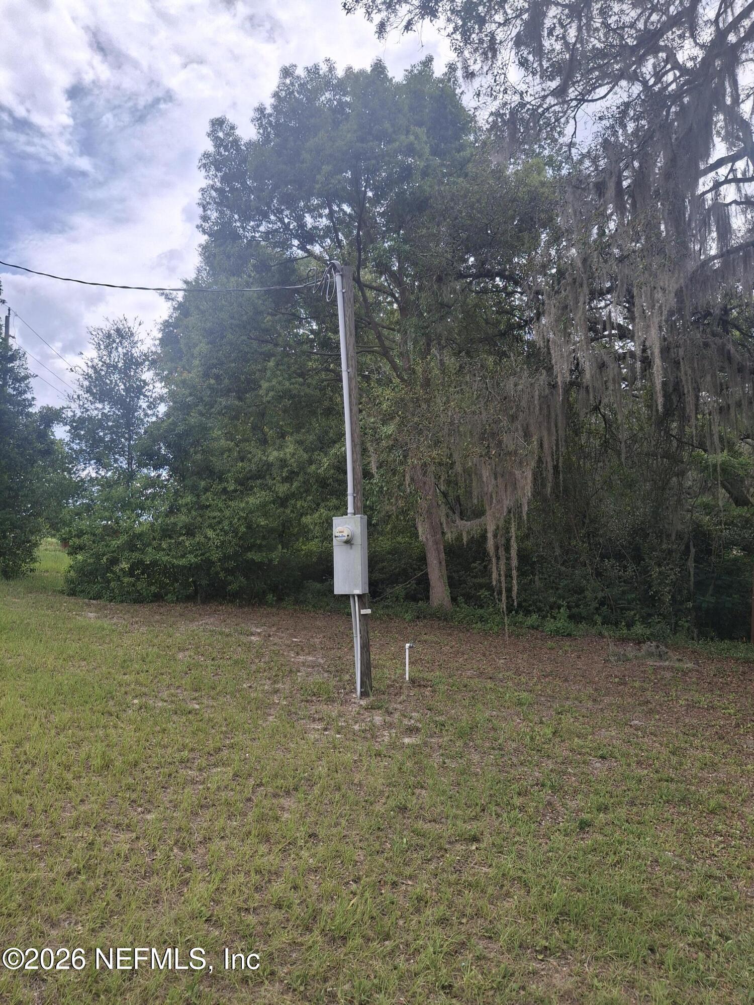 Image 4: 1000015180 electric pole